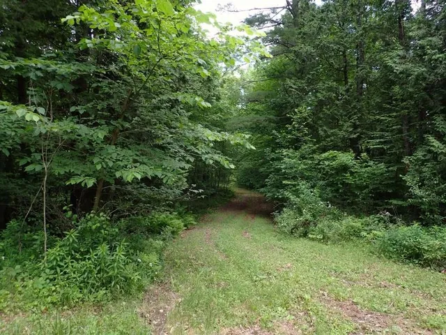 $387,000 | 0 Marshall Phillips Road, Brandon, VT 05733