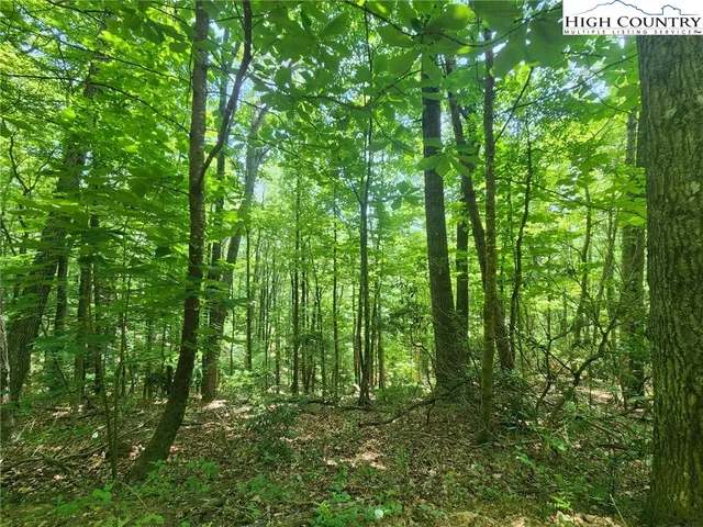 $89,900 | Hollow Point Drive, West Jefferson, NC 28694