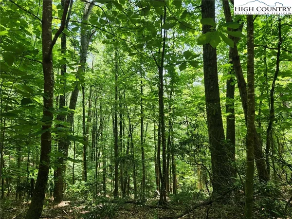 $89,900 | Hollow Point Drive, West Jefferson, NC 28694