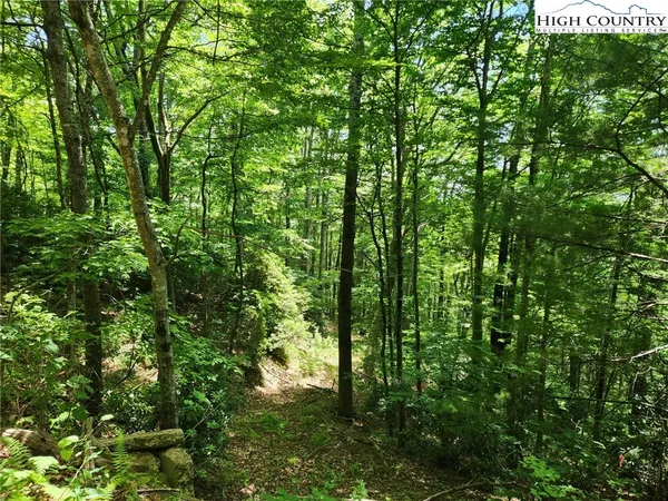 $89,900 | Hollow Point Drive, West Jefferson, NC 28694