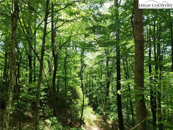 $89,900 | Hollow Point Drive, West Jefferson, NC 28694