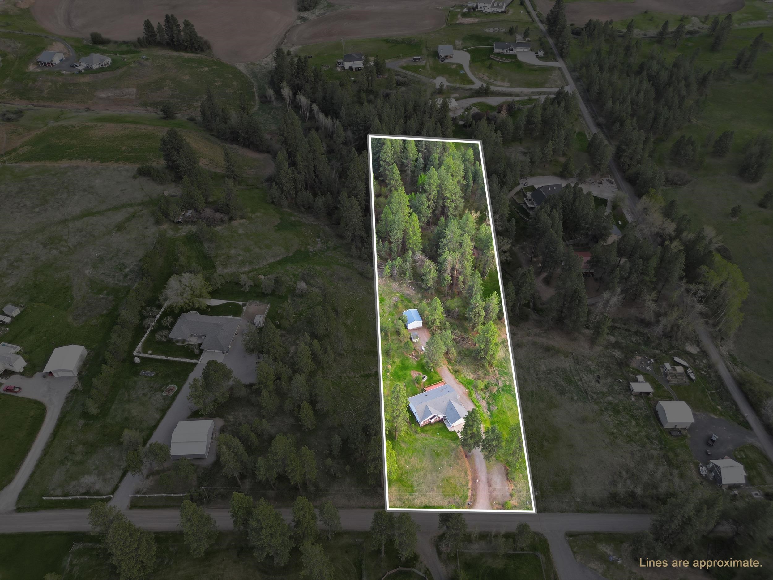 11606 East Connor Road Valleyford, WA 99036 - Photo 3 of 50