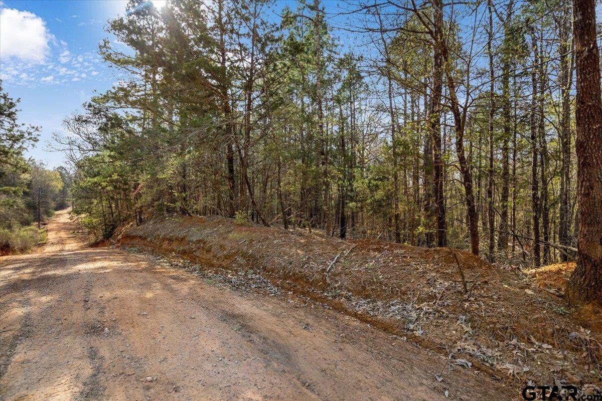 2015 St Tyler Tx 75708 Tyler, TX 75708 - Photo 1 of 5 a view of a yard with lots of trees