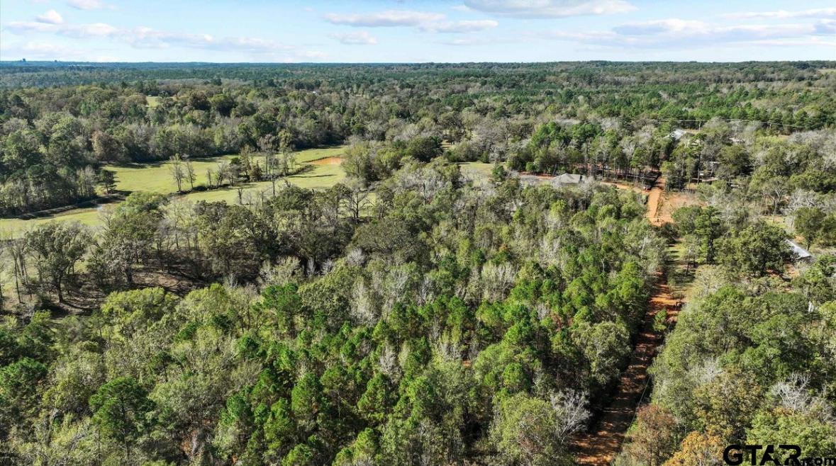 2015 St Tyler Tx 75708 Tyler, TX 75708 - Photo 5 of 5 an aerial view of residential houses with outdoor space and trees