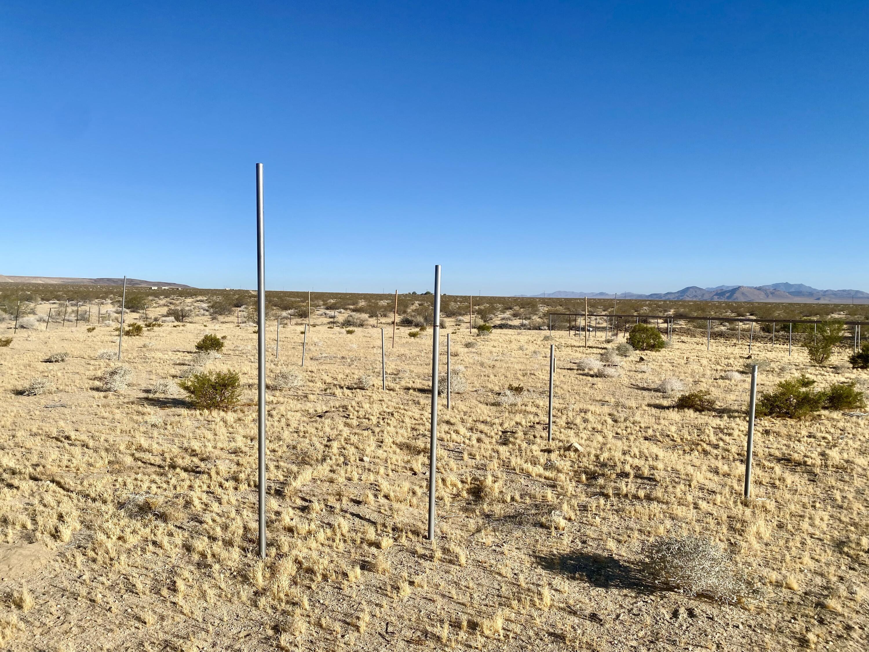 104 Joshua Tree Road Johnson Valley, CA 92285 - Photo 13 of 55 IMG_8384