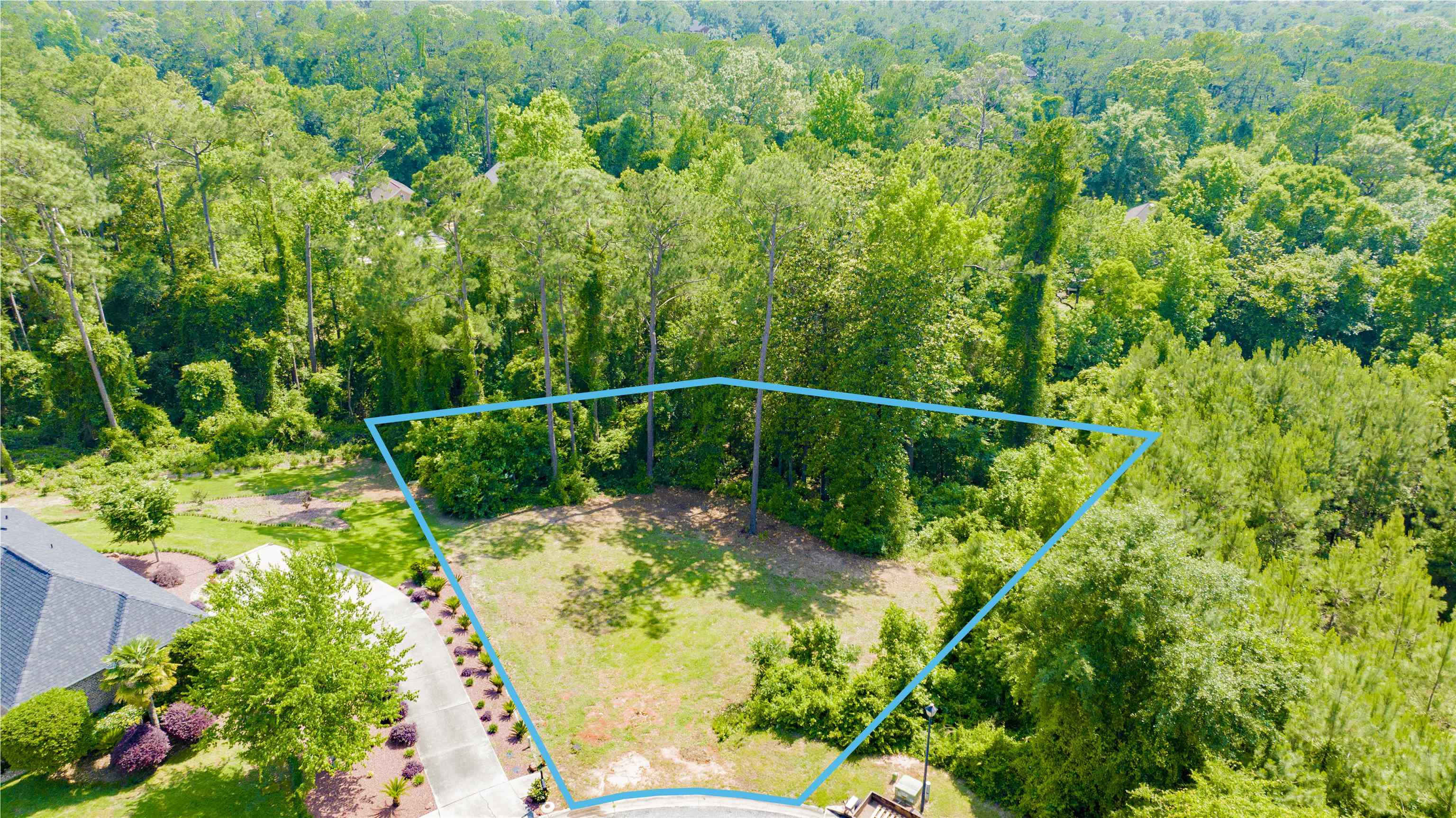 9 Judd Trail Daphne, AL 36527 - Photo 3 of 13