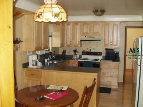 18329 Stephens Road Eastpointe, MI 48021 - Photo 5 of 6 519186-4.JPG