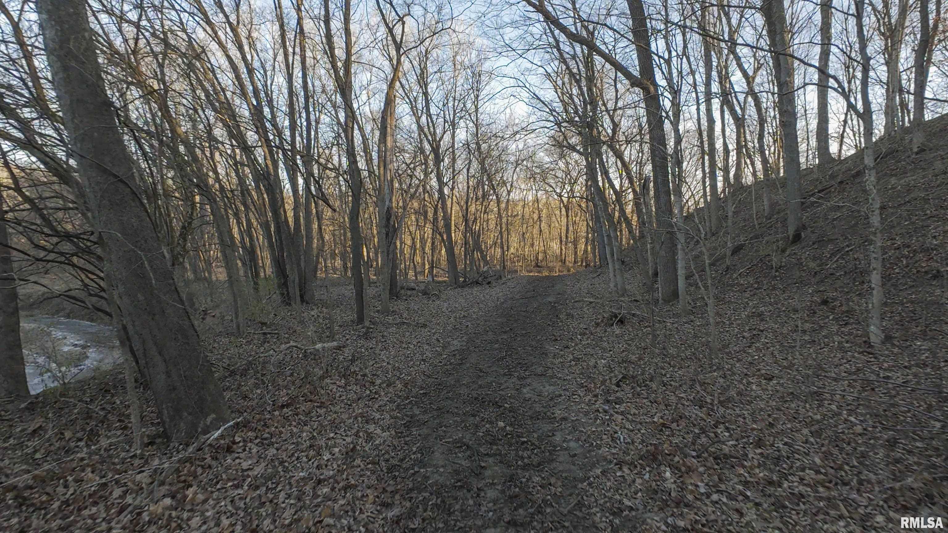 8401 South Trivoli Road Glasford, IL 61533 - Photo 16 of 56 Gallery Image 16