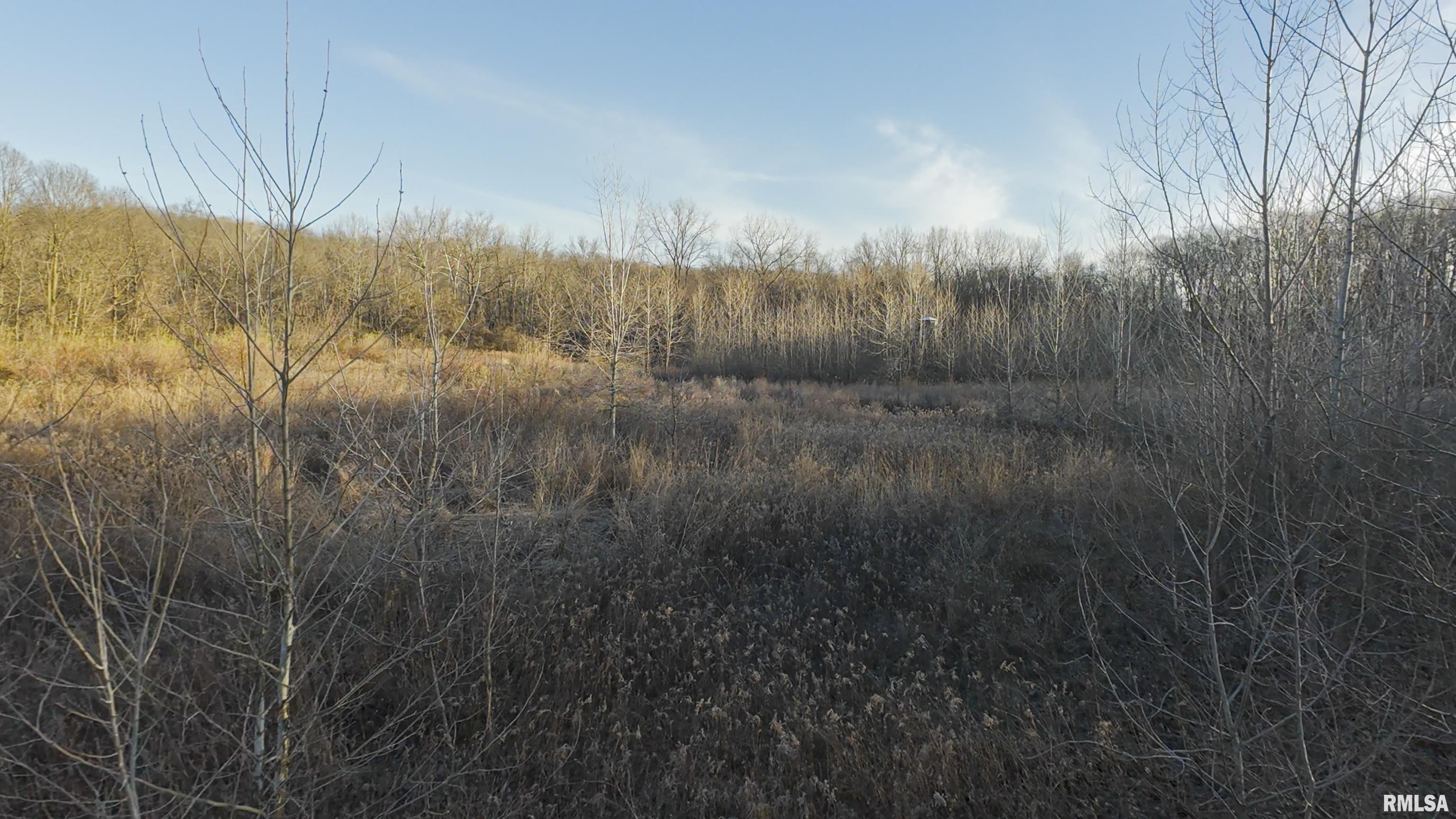 8401 South Trivoli Road Glasford, IL 61533 - Photo 18 of 56 Gallery Image 18