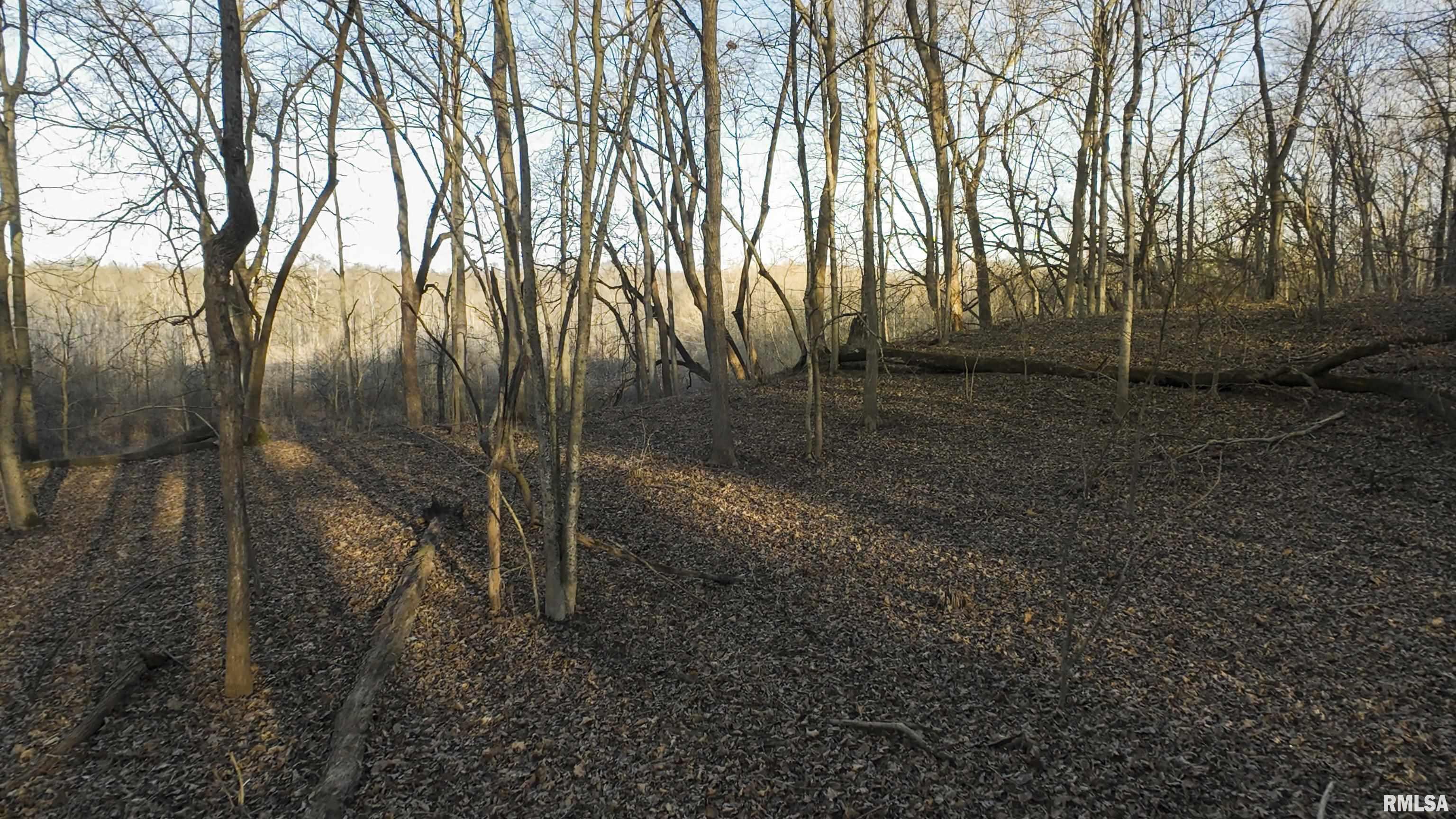 8401 South Trivoli Road Glasford, IL 61533 - Photo 20 of 56 Gallery Image 20