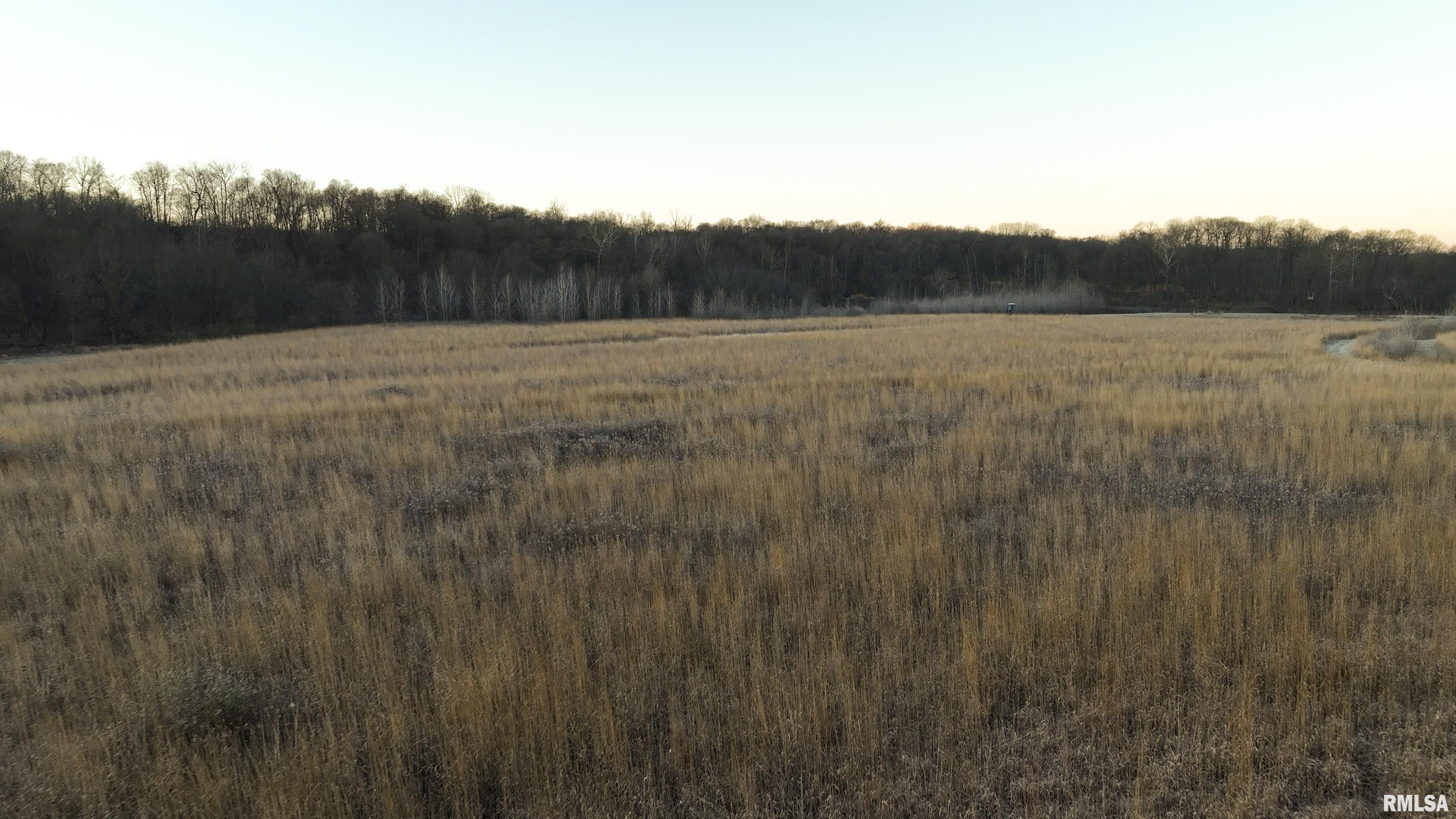 8401 South Trivoli Road Glasford, IL 61533 - Photo 2 of 56 Gallery Image 2