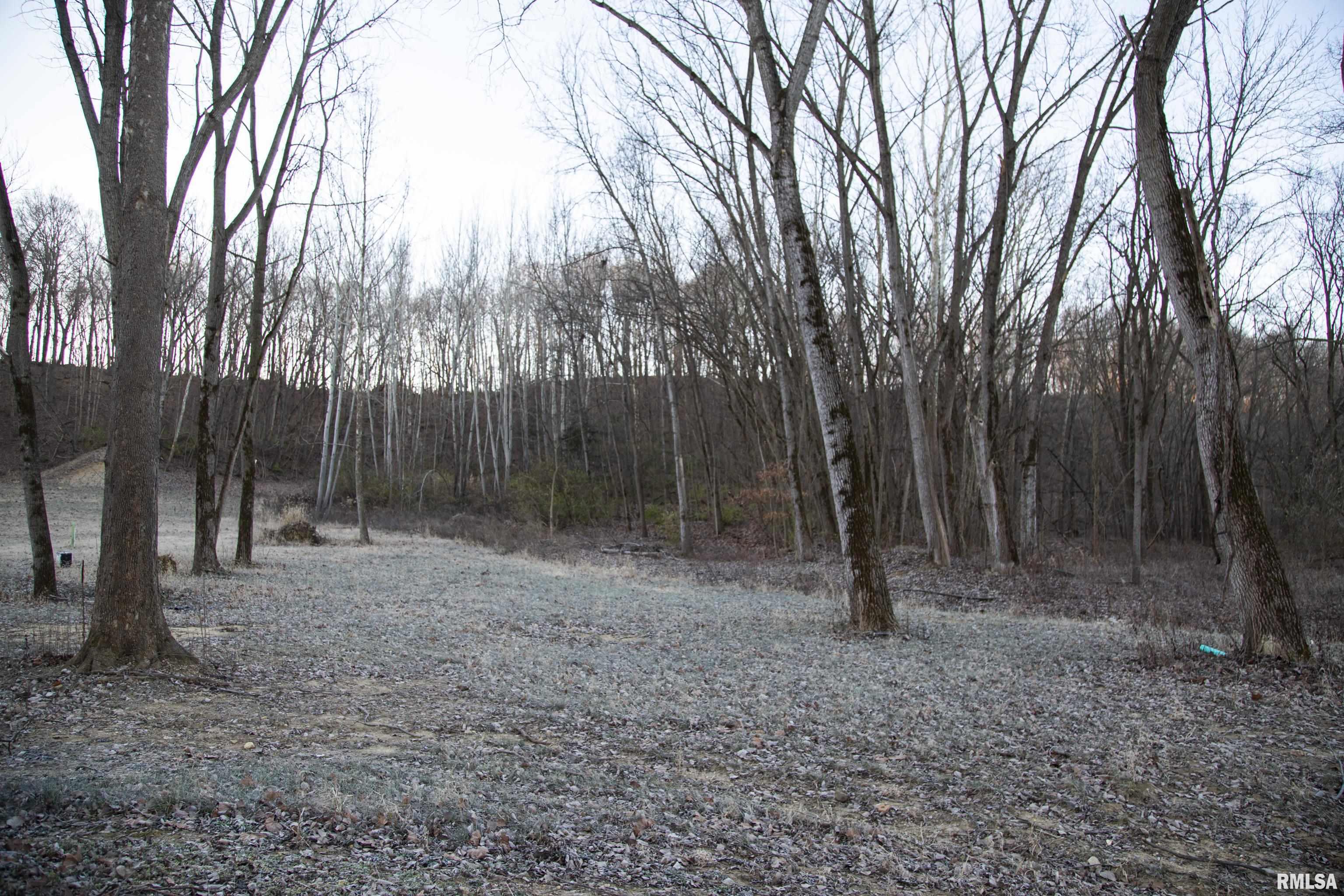 8401 South Trivoli Road Glasford, IL 61533 - Photo 29 of 56 Gallery Image 29