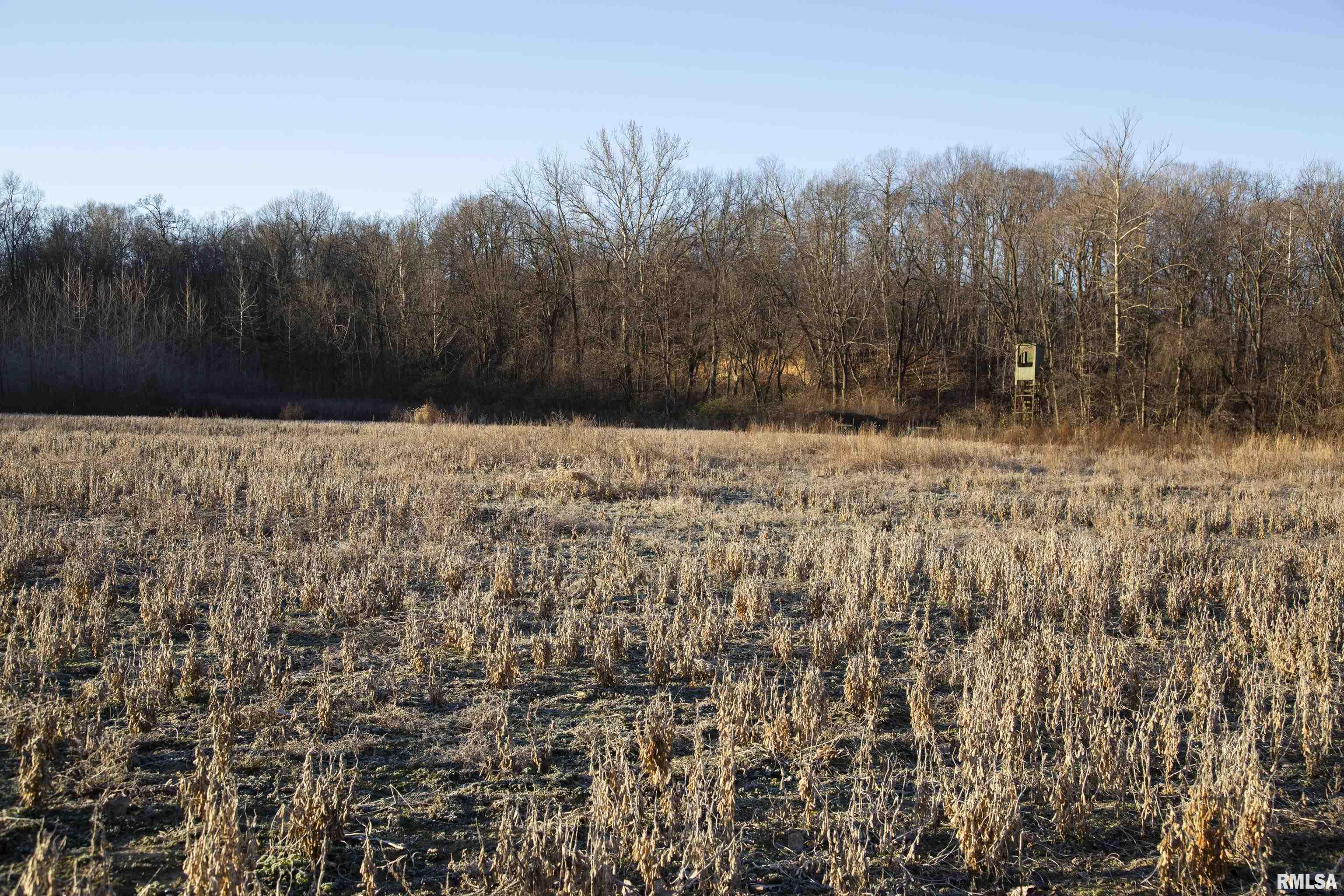 8401 South Trivoli Road Glasford, IL 61533 - Photo 35 of 56 Gallery Image 35