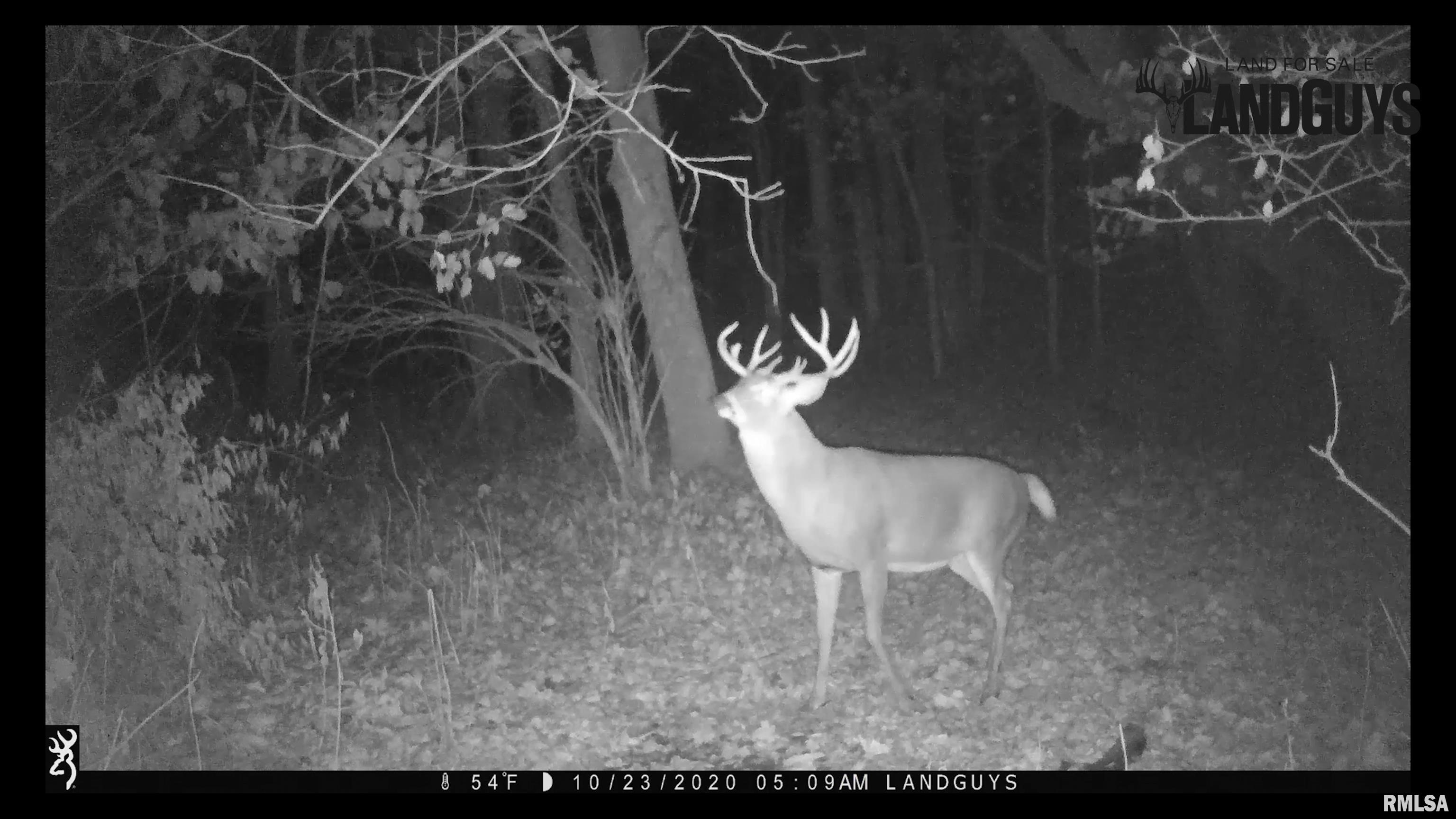 8401 South Trivoli Road Glasford, IL 61533 - Photo 50 of 56 Gallery Image 50