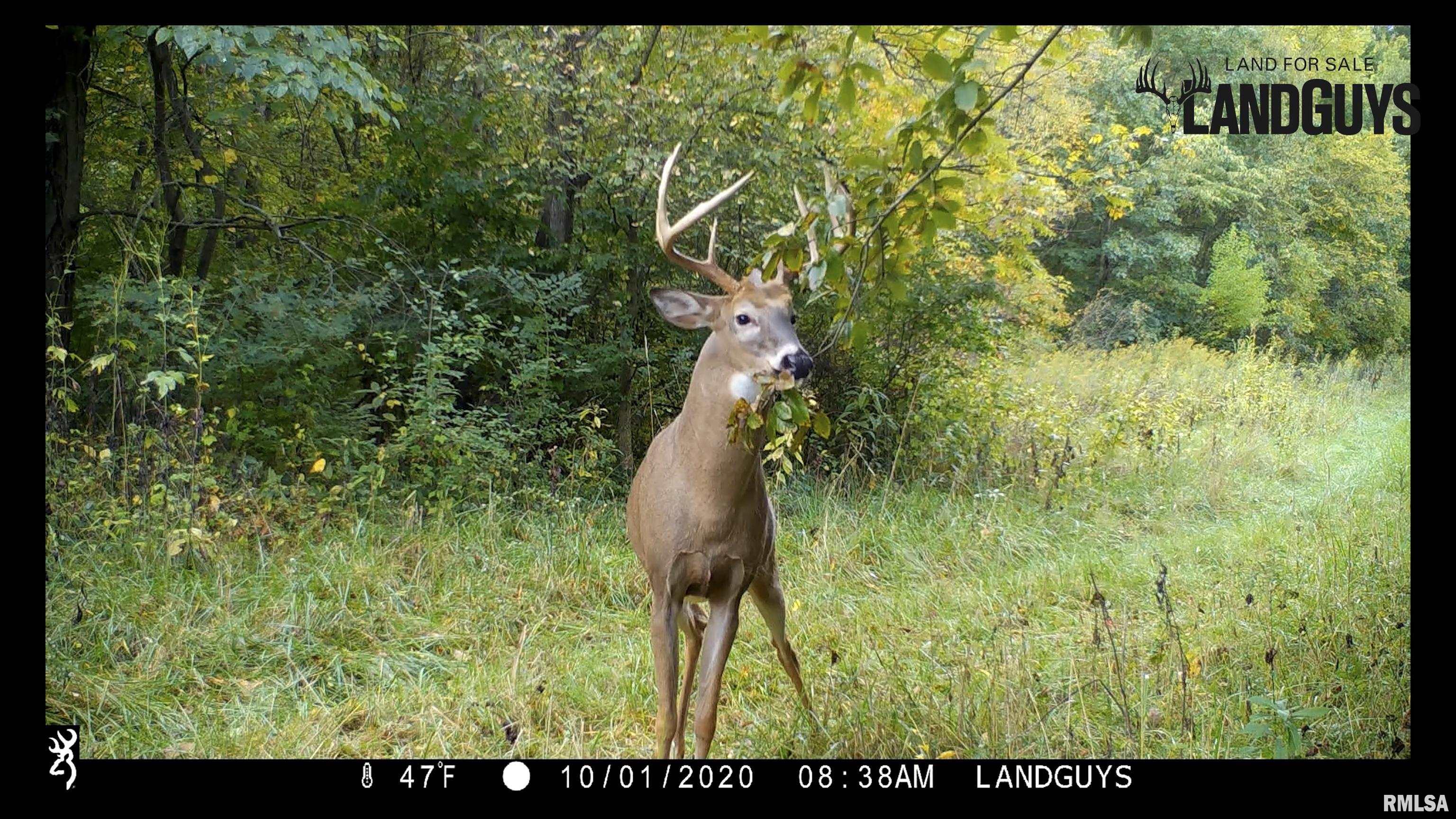 8401 South Trivoli Road Glasford, IL 61533 - Photo 51 of 56 Gallery Image 51