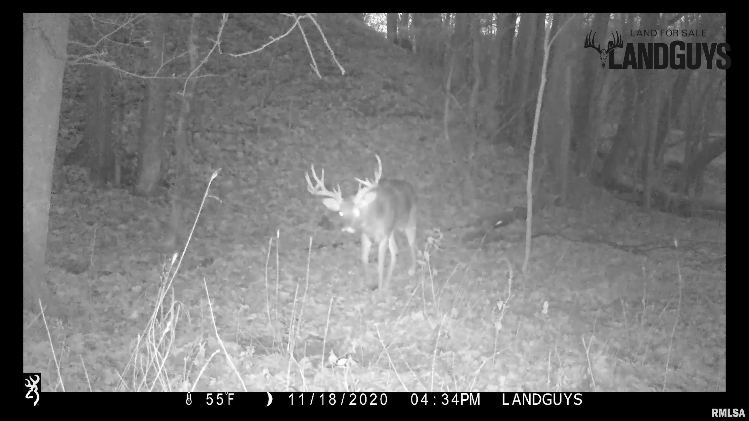8401 South Trivoli Road Glasford, IL 61533 - Photo 52 of 56 Gallery Image 52