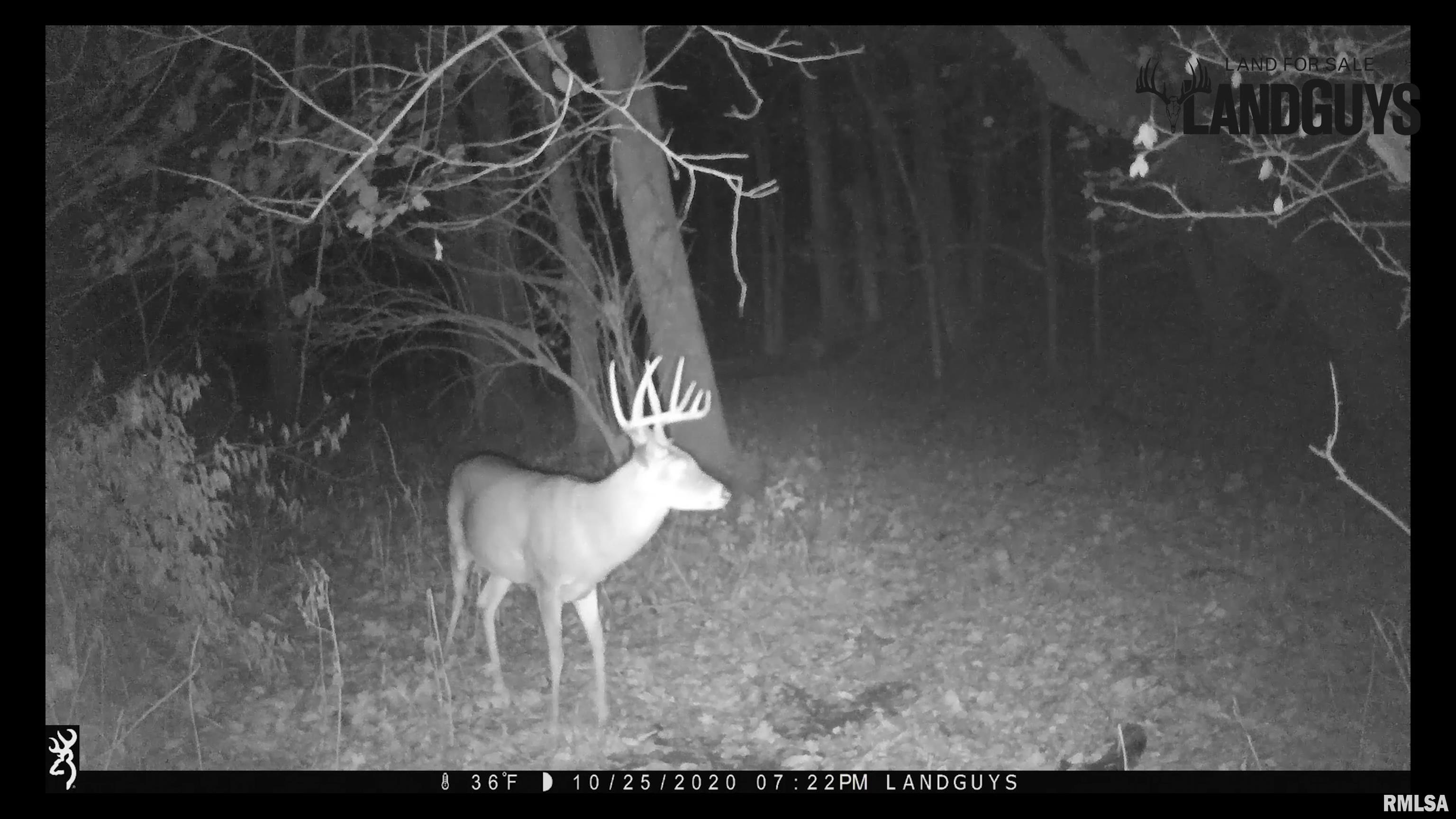 8401 South Trivoli Road Glasford, IL 61533 - Photo 53 of 56 Gallery Image 53