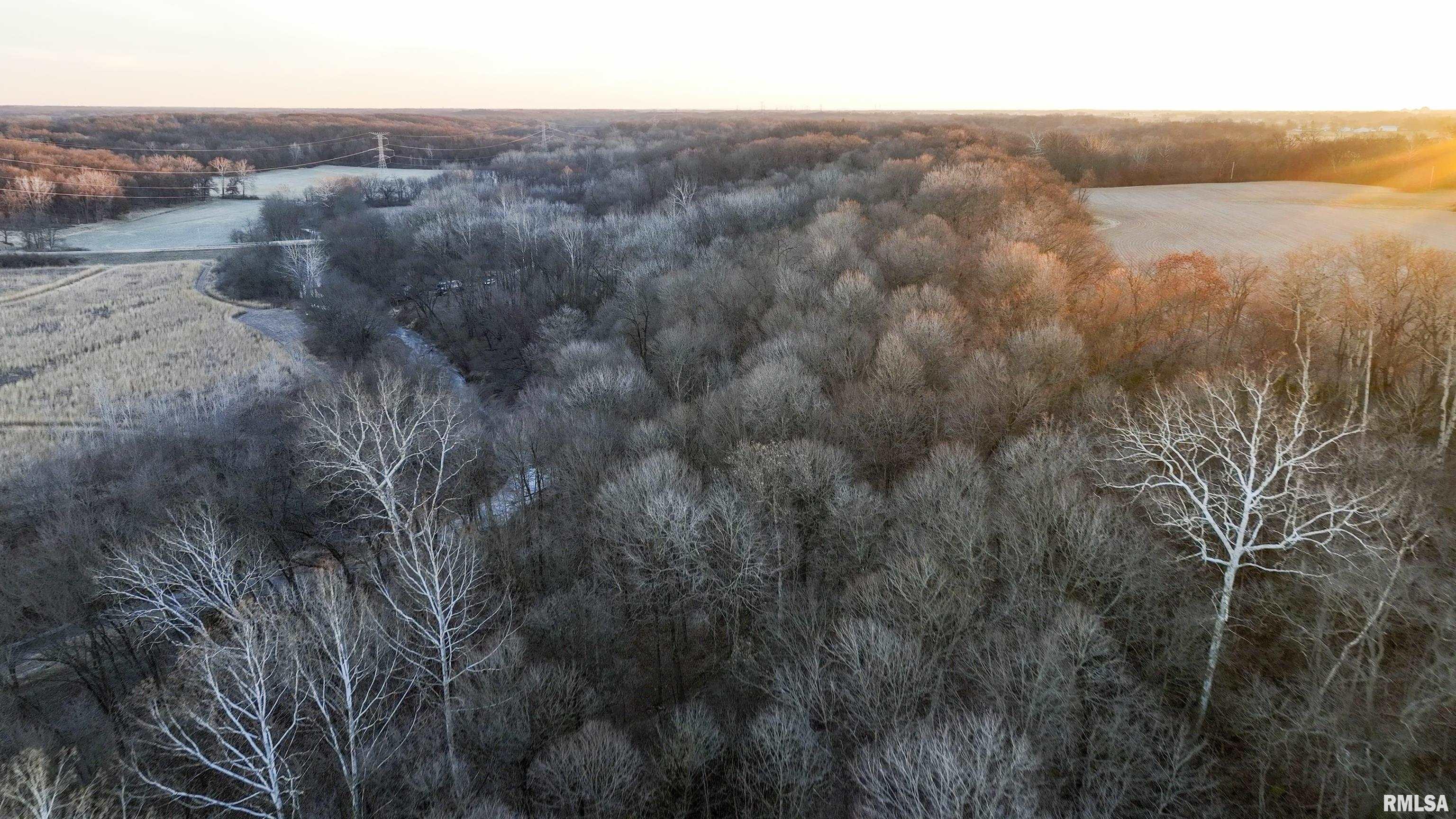 8401 South Trivoli Road Glasford, IL 61533 - Photo 7 of 56 Gallery Image 7