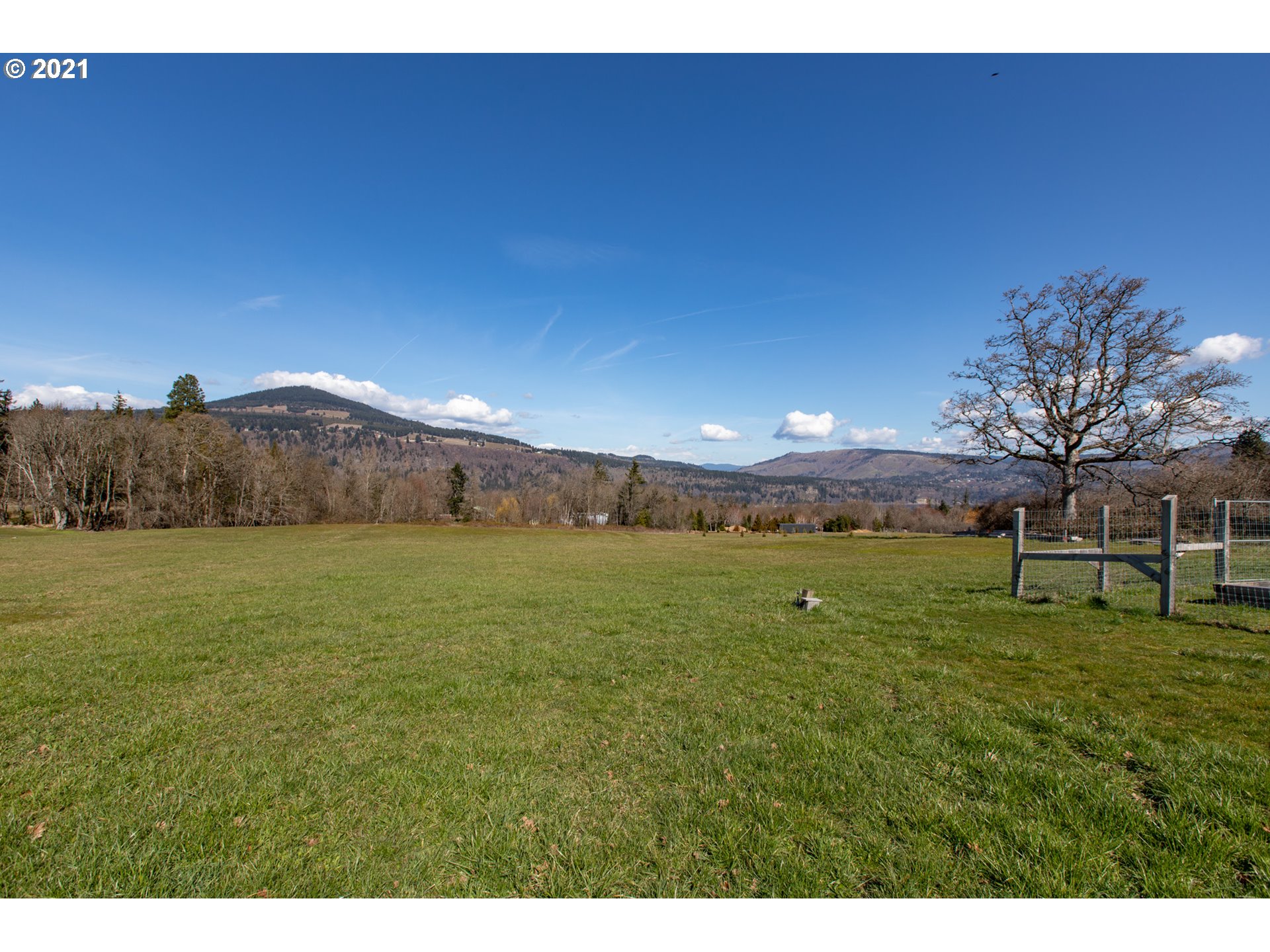 610 Vineyard Road Hood River, OR 97031 - Photo 8 of 32 Gallery Image 8