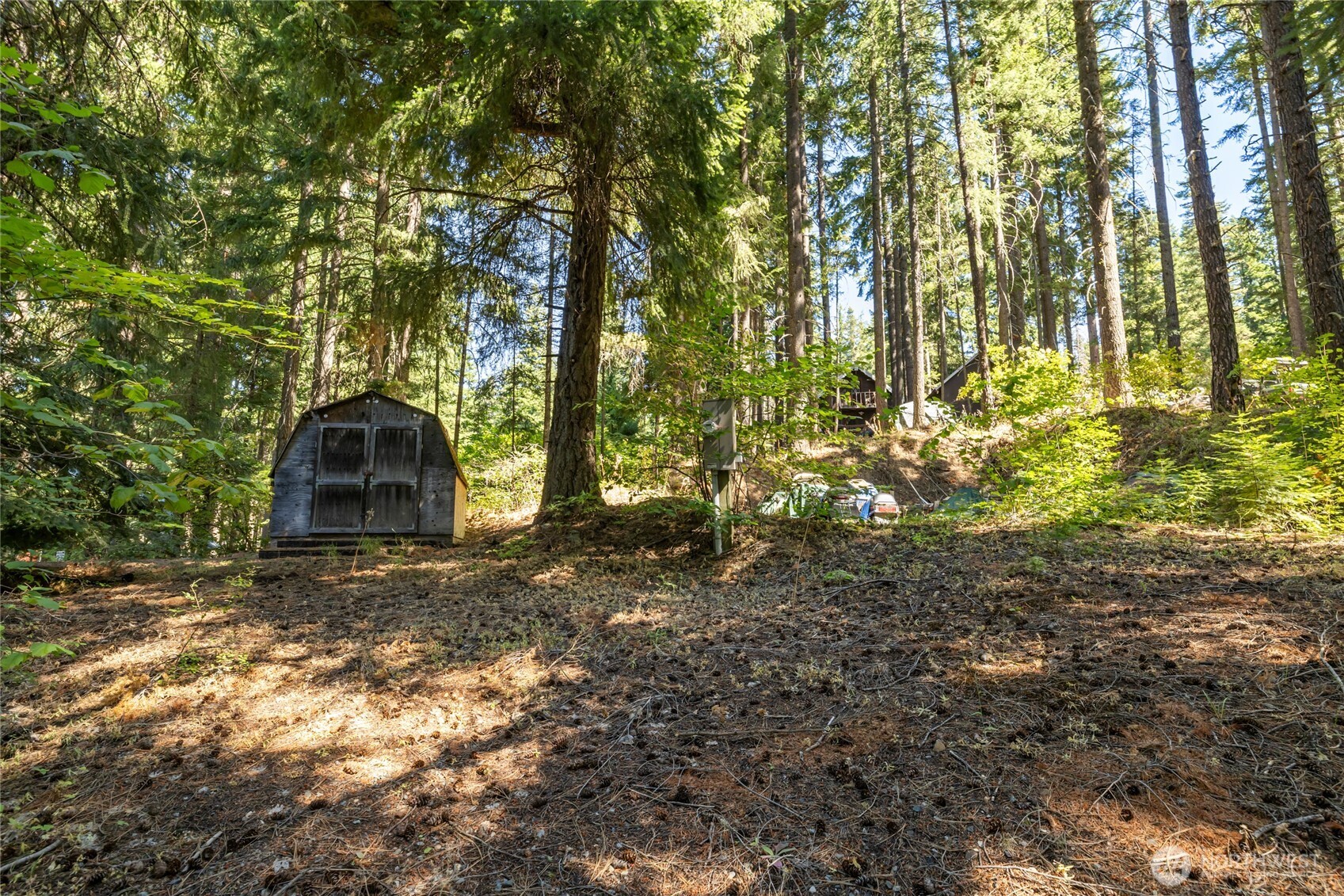 171 Dundee Road Ronald, WA 98940 - Photo 1 of 25 Gallery Image 1
