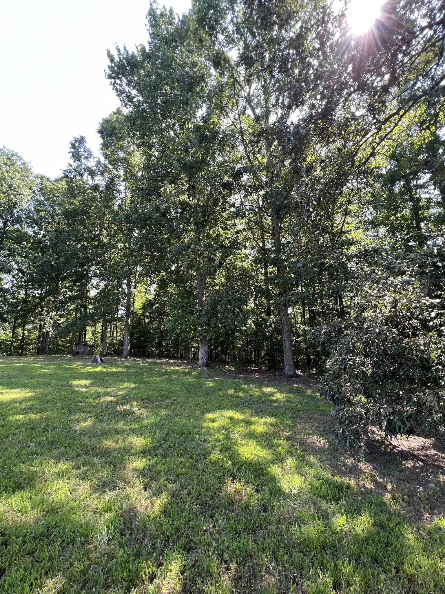274 Running Meadows Road Portland, TN 37148 - Photo 17 of 24 a view of a grassy field with trees in the background