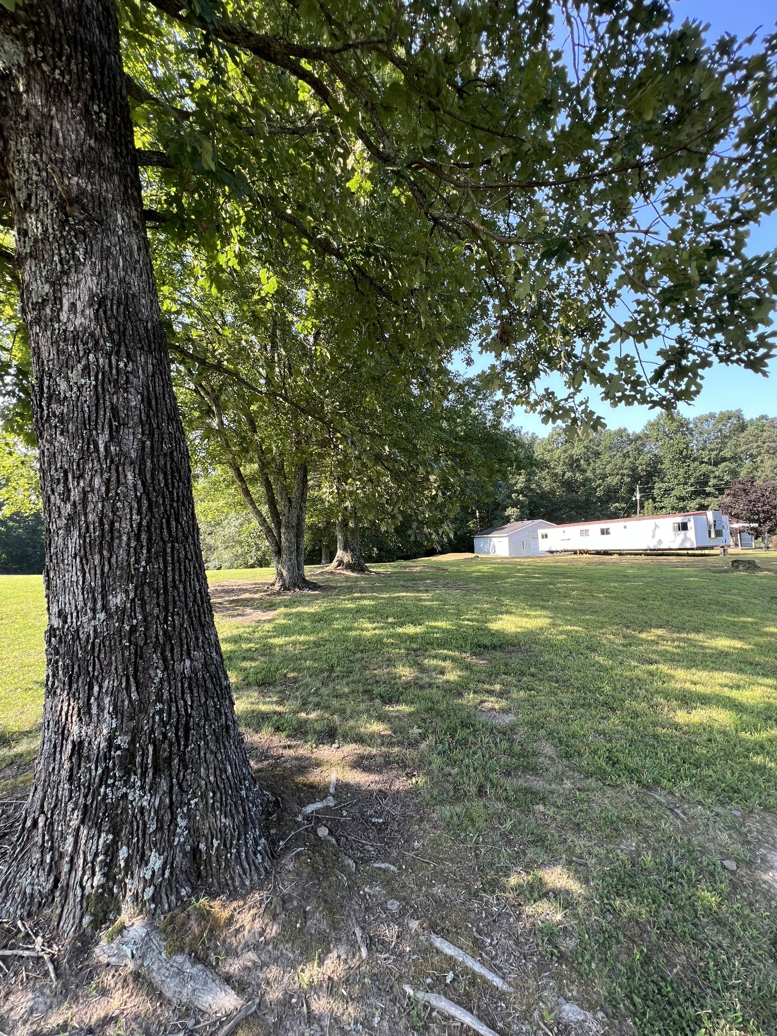 274 Running Meadows Road Portland, TN 37148 - Photo 20 of 24 a view of outdoor space with deck and yard