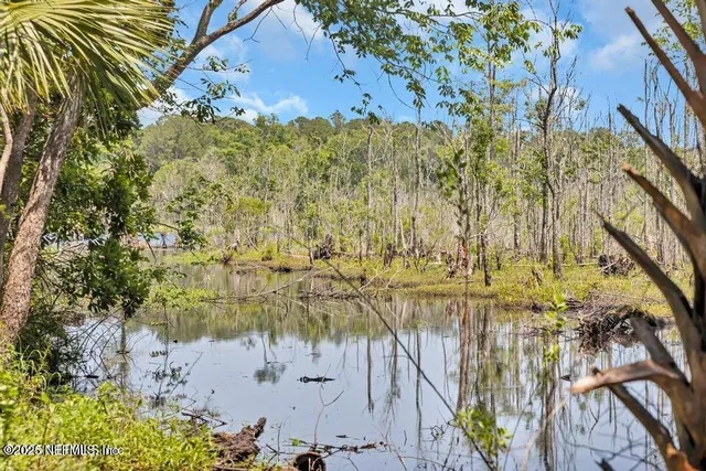 a view of a yard with a tree
