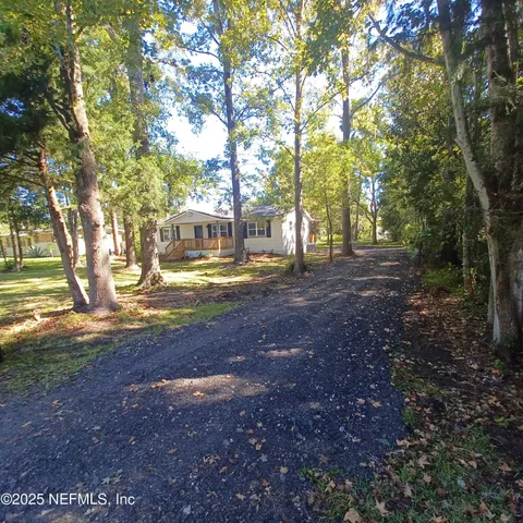 a view of a yard with plants and large trees