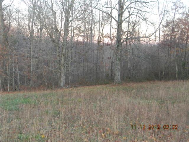 0 South Ray Road Portland, TN 37148 - Photo 4 of 4