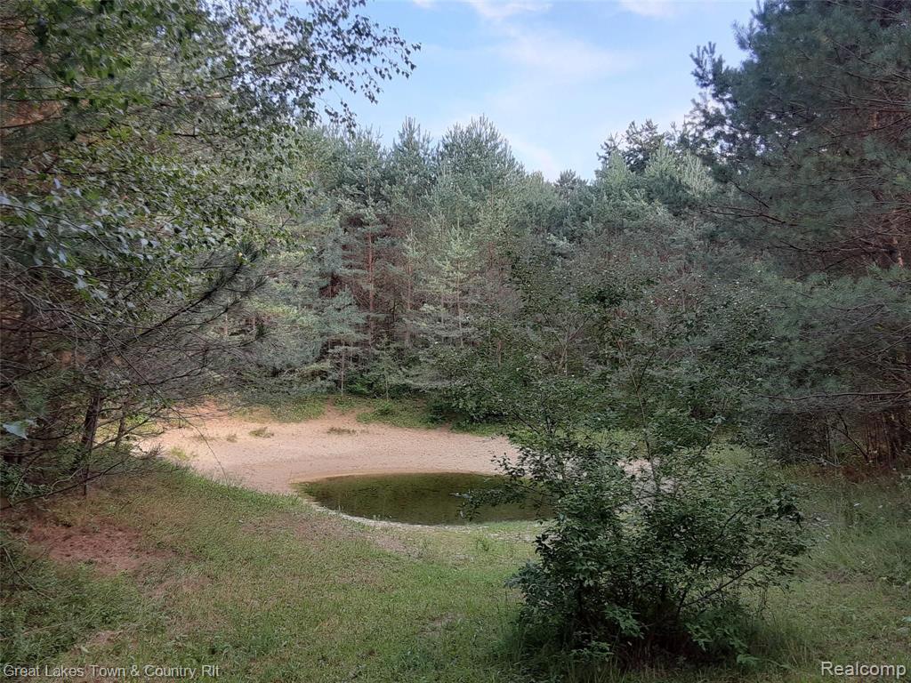 3405 French Line Road Applegate, MI 48401 - Photo 22 of 27