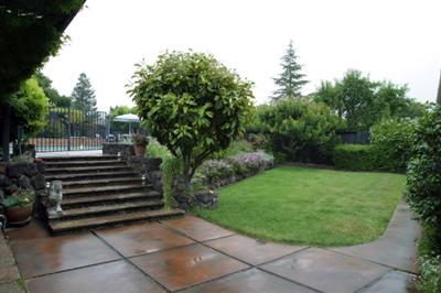 312 Miller Creek Road San Rafael, CA 94903 - Photo 8 of 11 Backyard w/ pool in distance