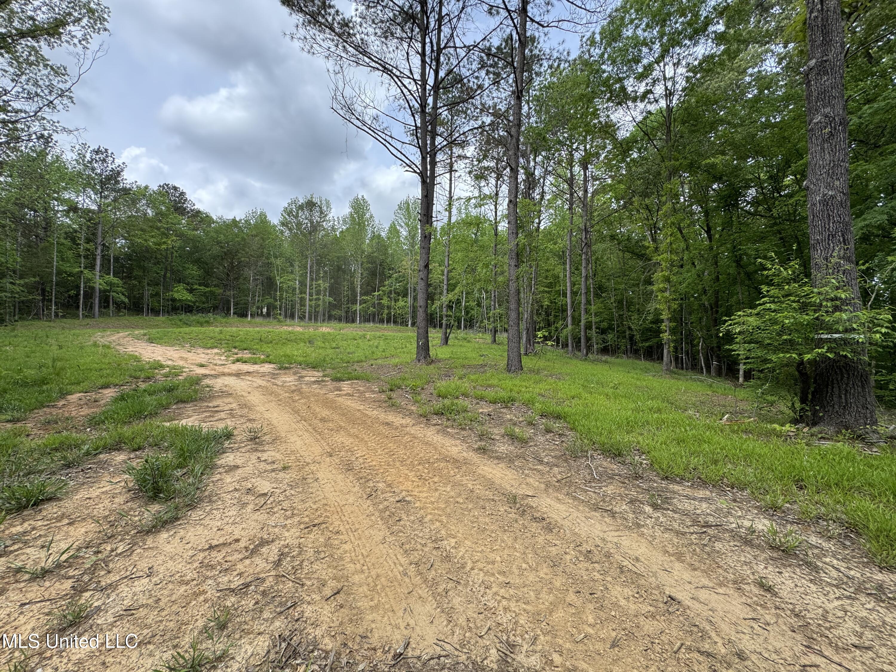 13996 Davenport Road Byhalia, MS 38611 - Photo 11 of 21 IMG_9546
