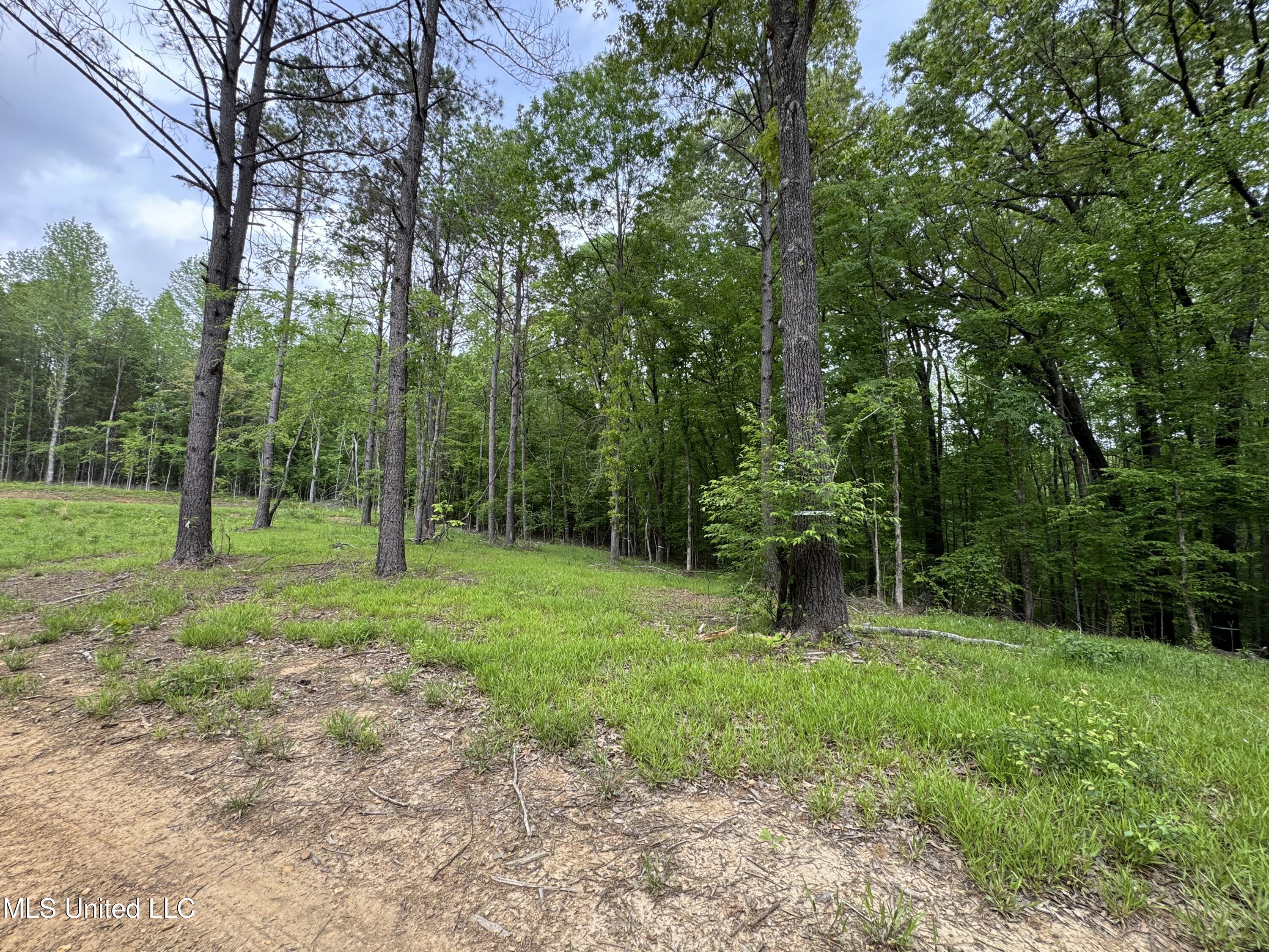 13996 Davenport Road Byhalia, MS 38611 - Photo 13 of 21 IMG_9547