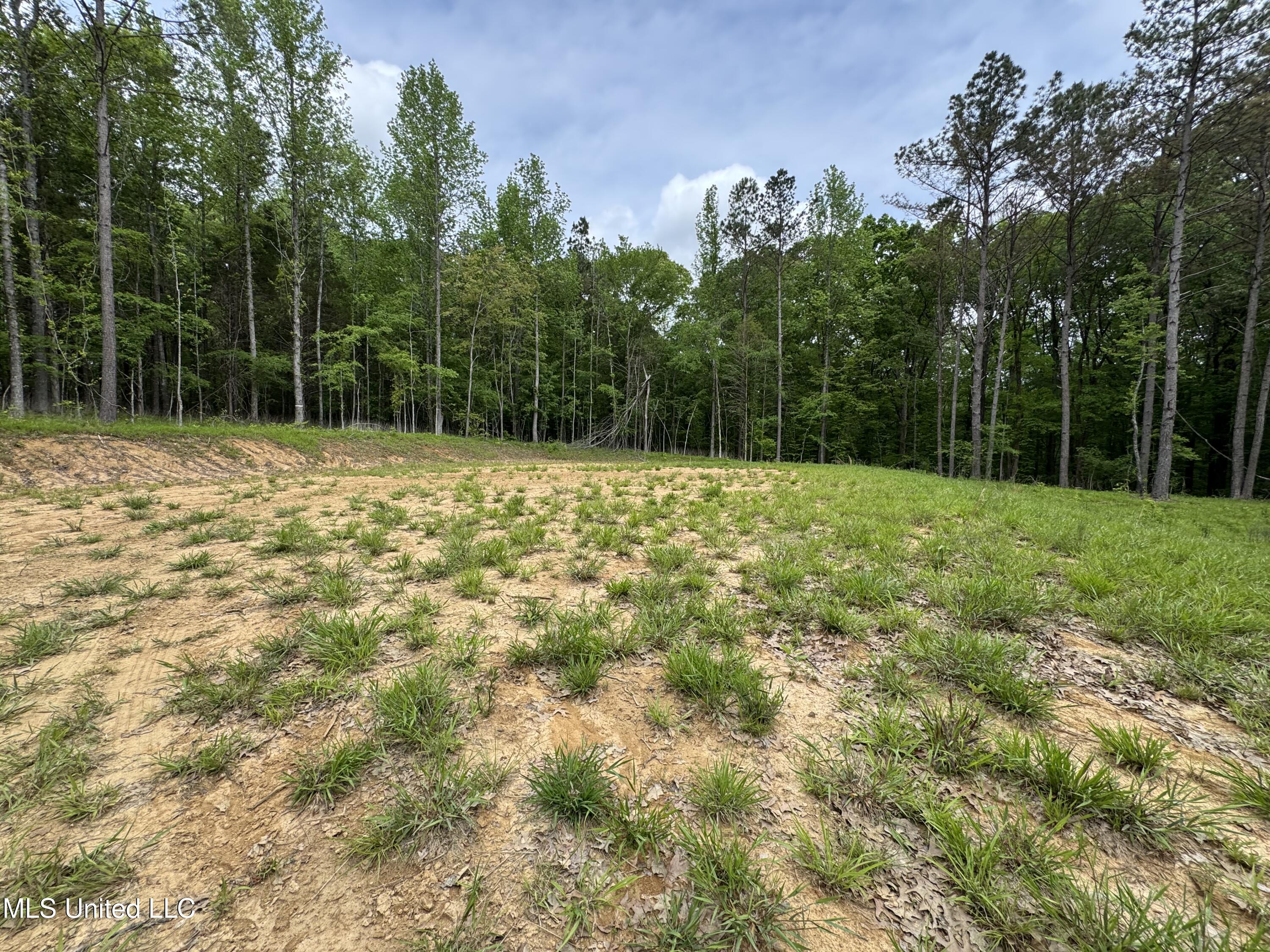 13996 Davenport Road Byhalia, MS 38611 - Photo 14 of 21 IMG_9552