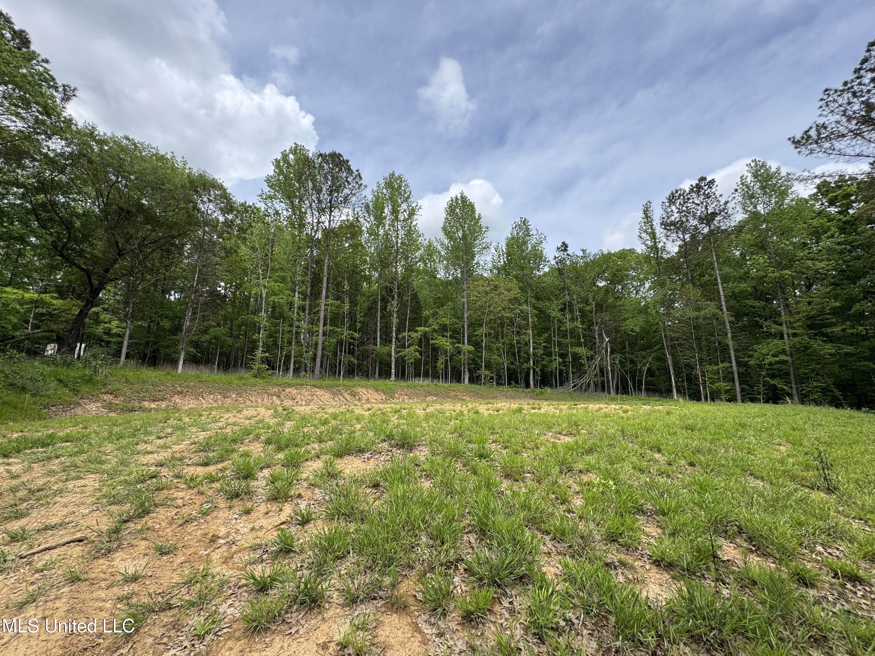13996 Davenport Road Byhalia, MS 38611 - Photo 15 of 21 IMG_9551