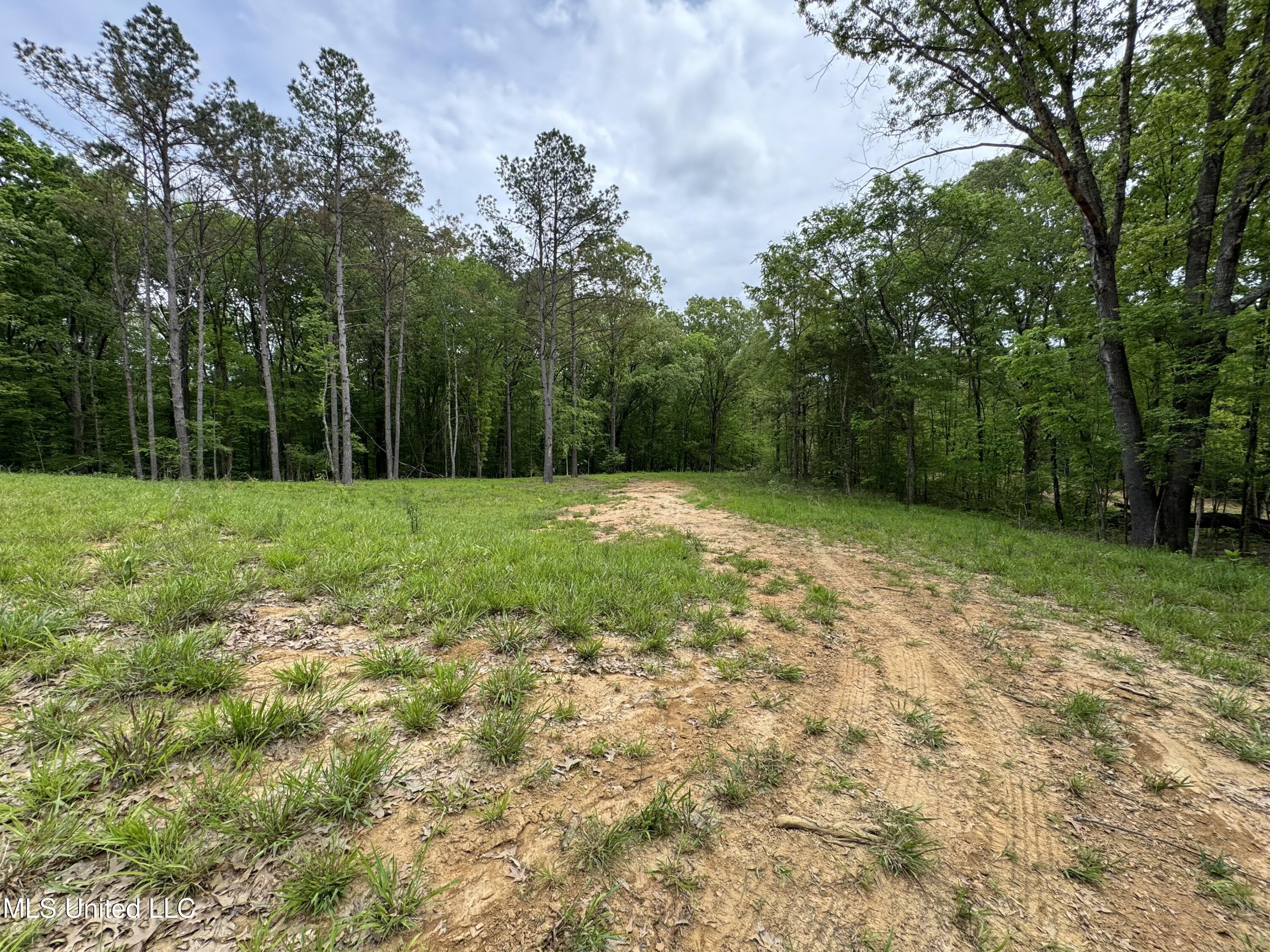 13996 Davenport Road Byhalia, MS 38611 - Photo 18 of 21 IMG_9553