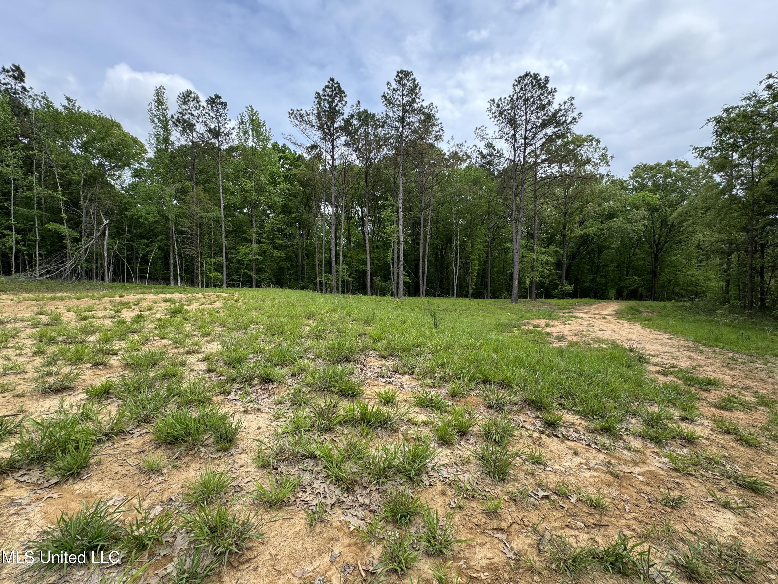 13996 Davenport Road Byhalia, MS 38611 - Photo 19 of 21 IMG_9554