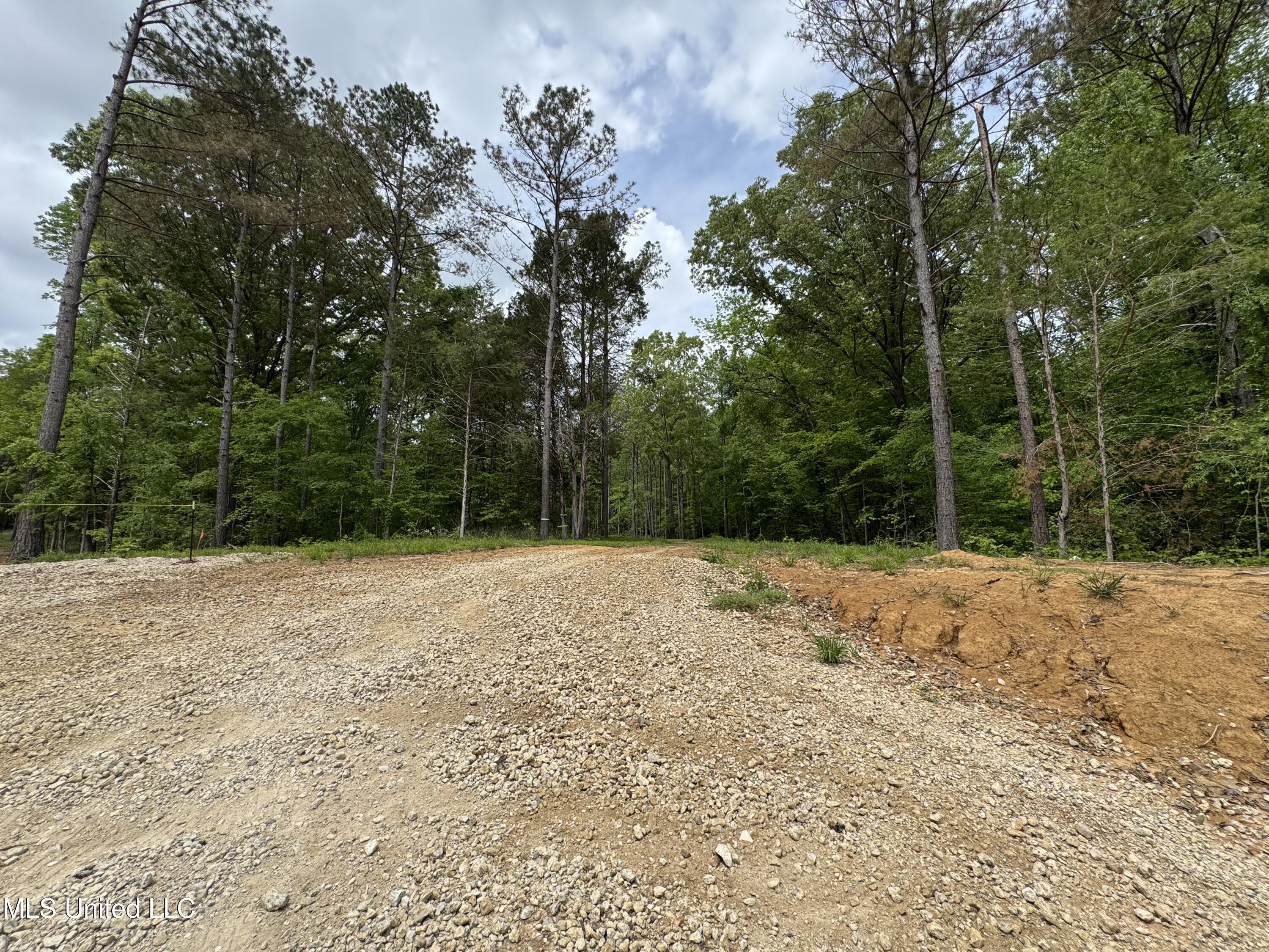 13996 Davenport Road Byhalia, MS 38611 - Photo 8 of 21 IMG_9556