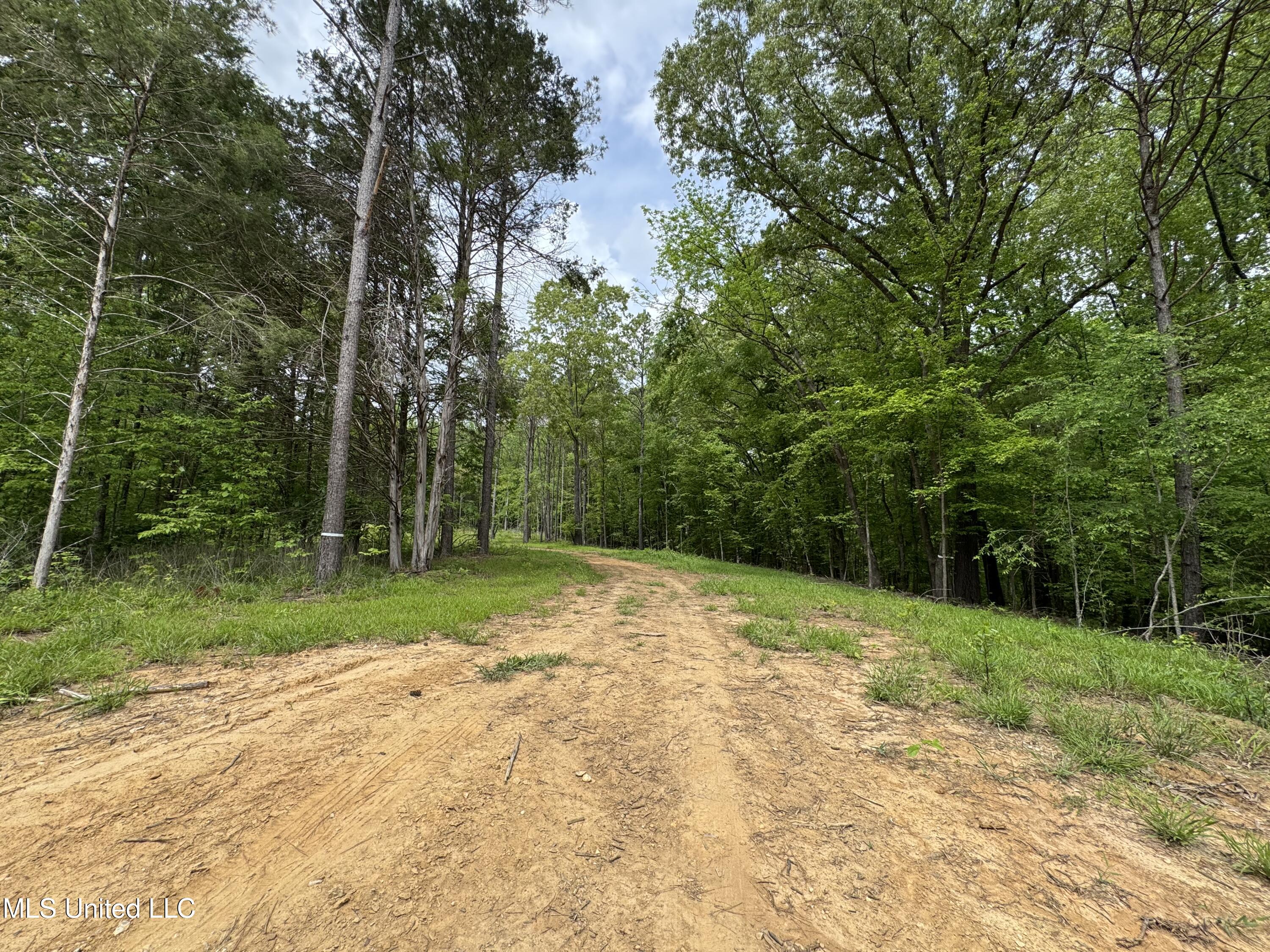 13996 Davenport Road Byhalia, MS 38611 - Photo 9 of 21 IMG_9557