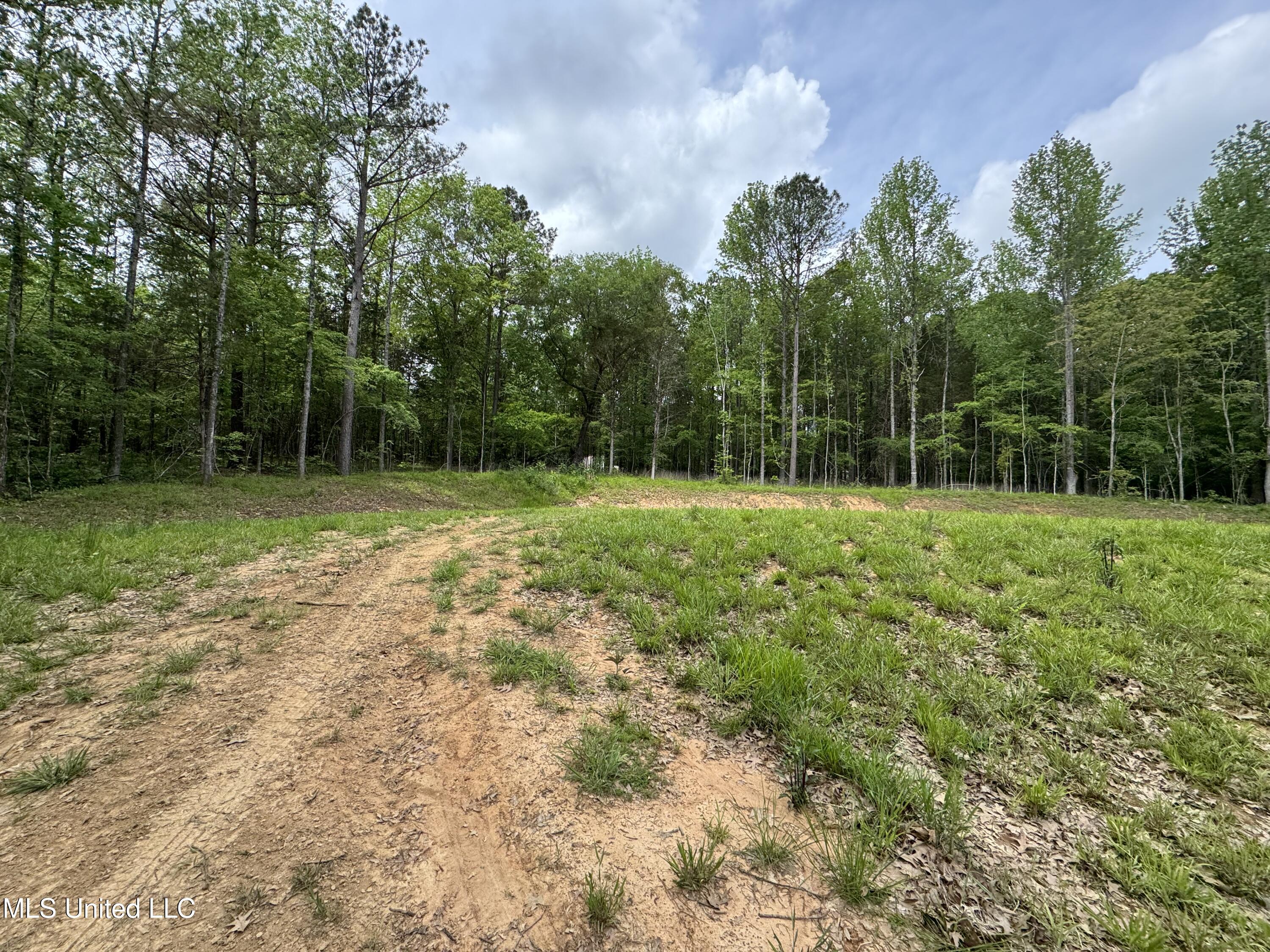 13996 Davenport Road Byhalia, MS 38611 - Photo 10 of 21 IMG_9550