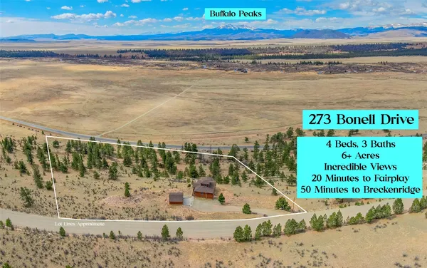 $825,000 | 273 Bonell Drive, Fairplay, CO 80440