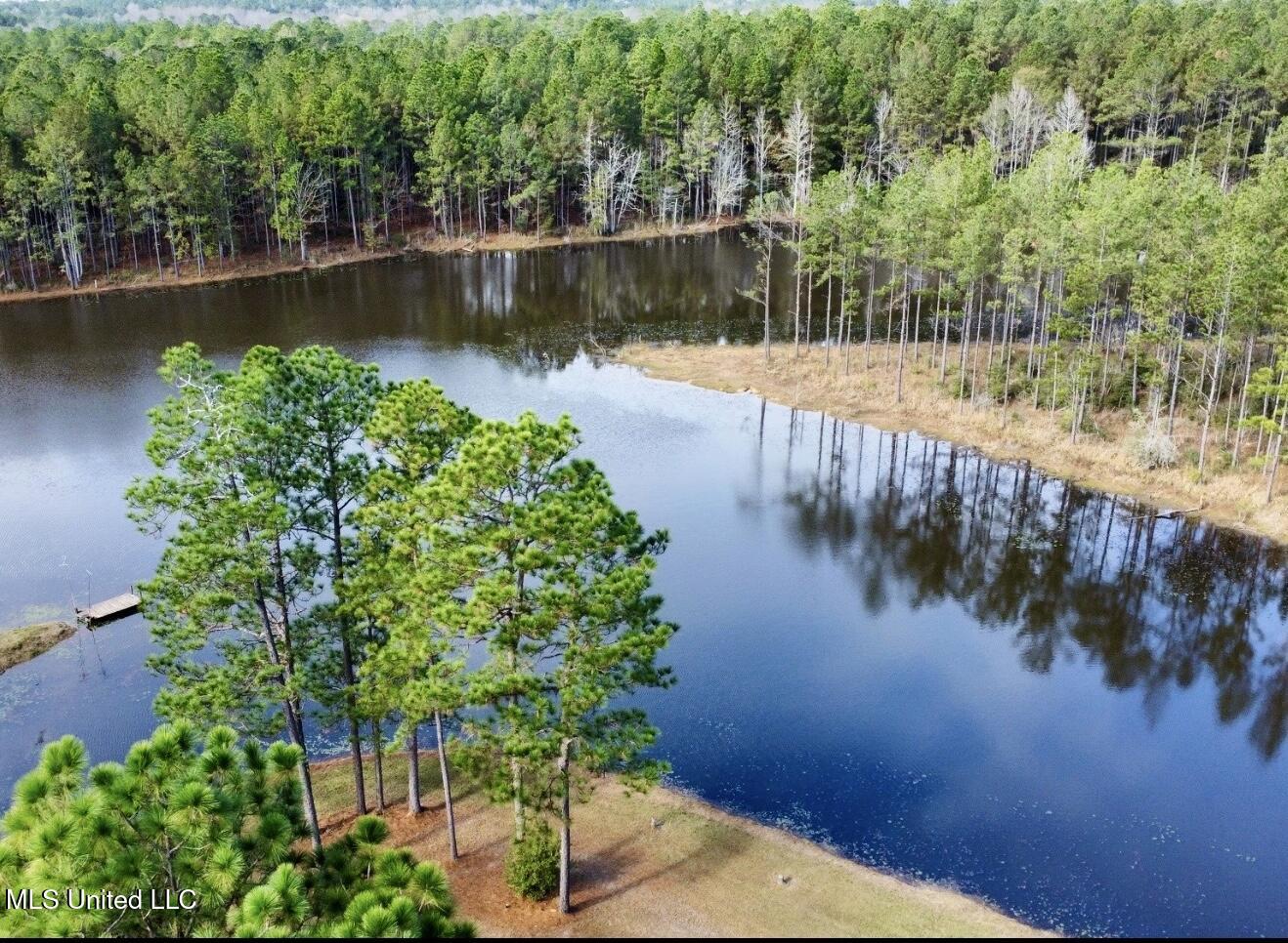 3947 Purvis Columbia Road Purvis, MS 39475 - Photo 14 of 44 IMG_2217