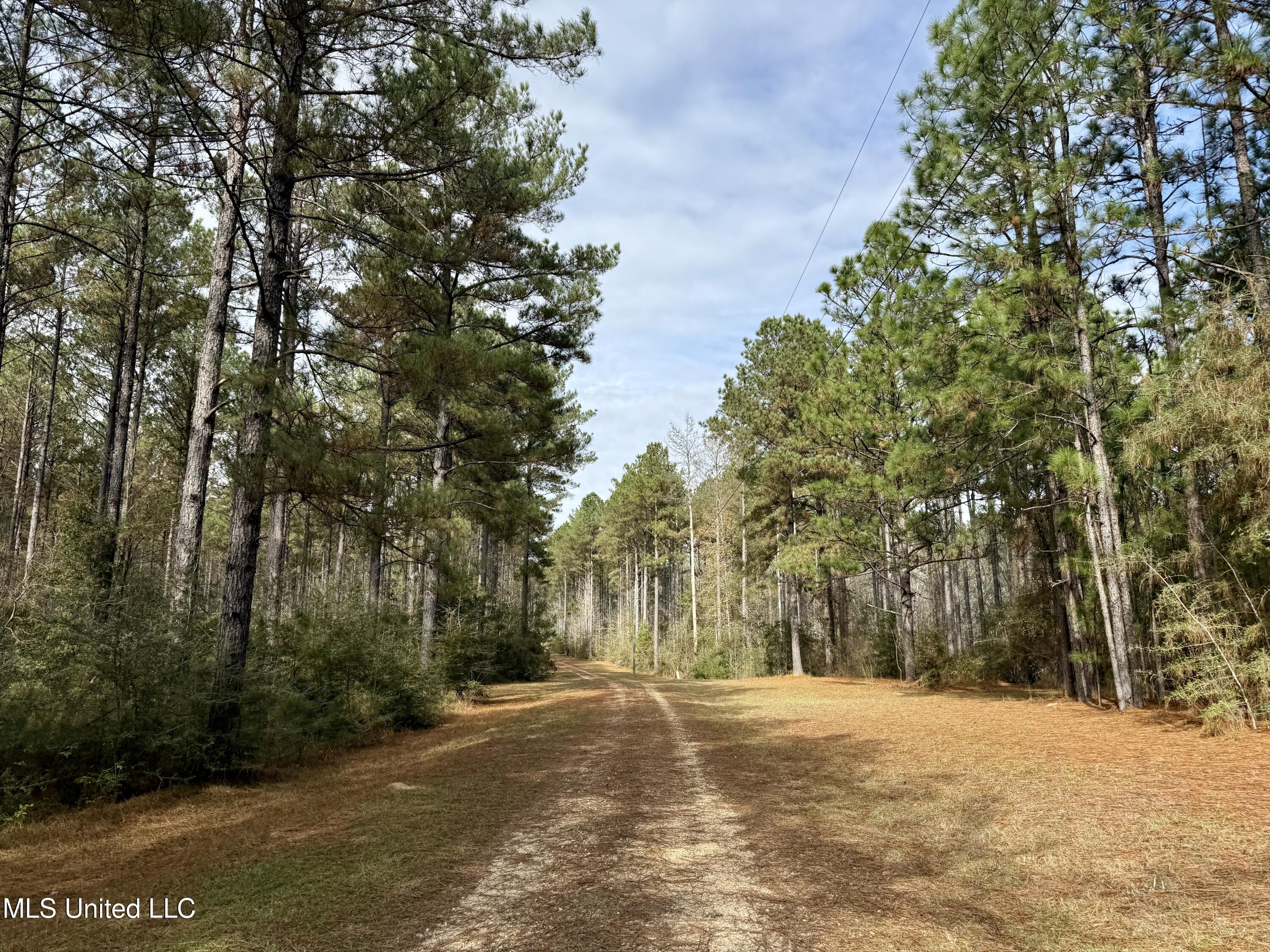 3947 Purvis Columbia Road Purvis, MS 39475 - Photo 18 of 44 IMG_9255