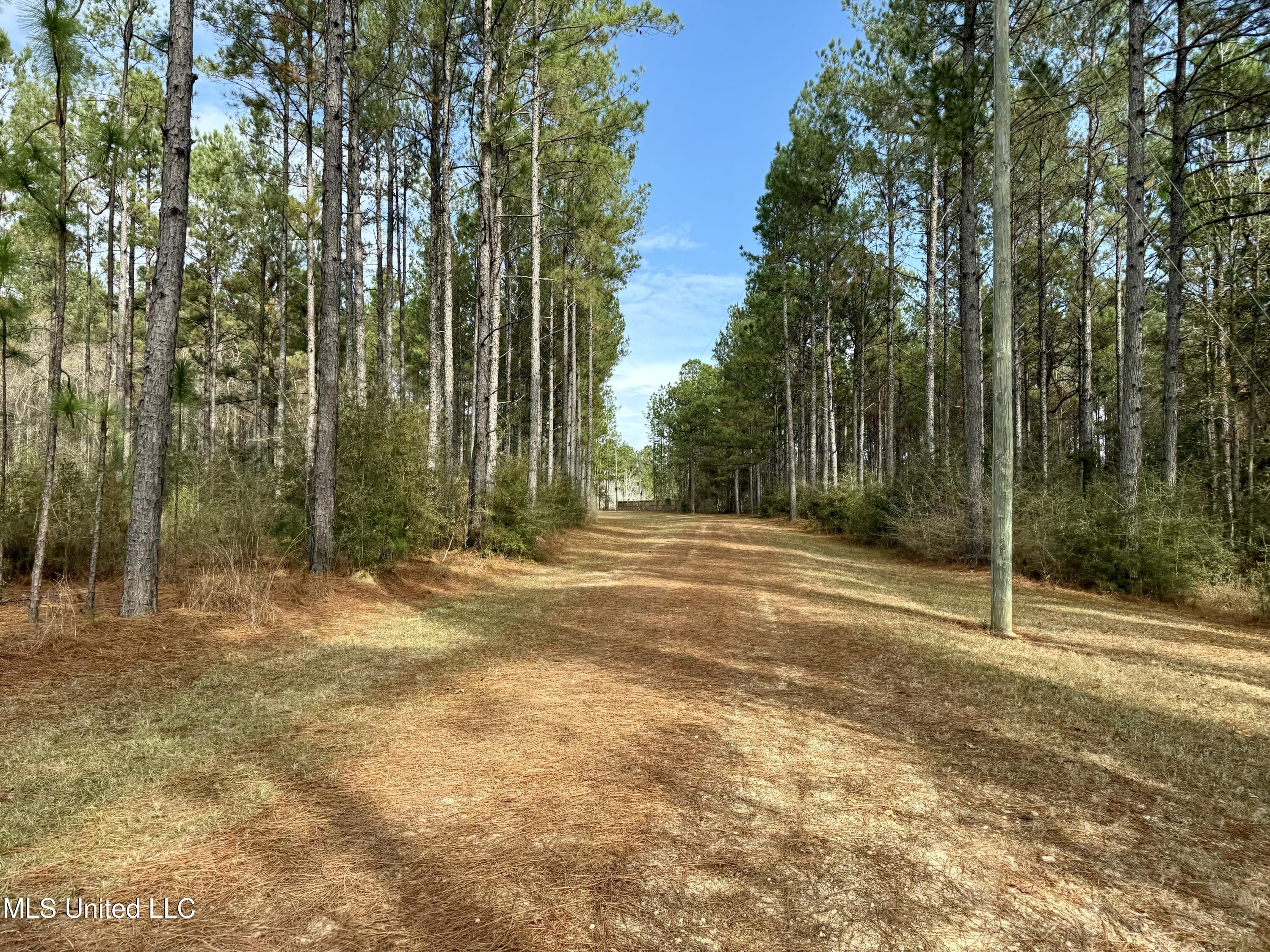 3947 Purvis Columbia Road Purvis, MS 39475 - Photo 19 of 44 IMG_9254