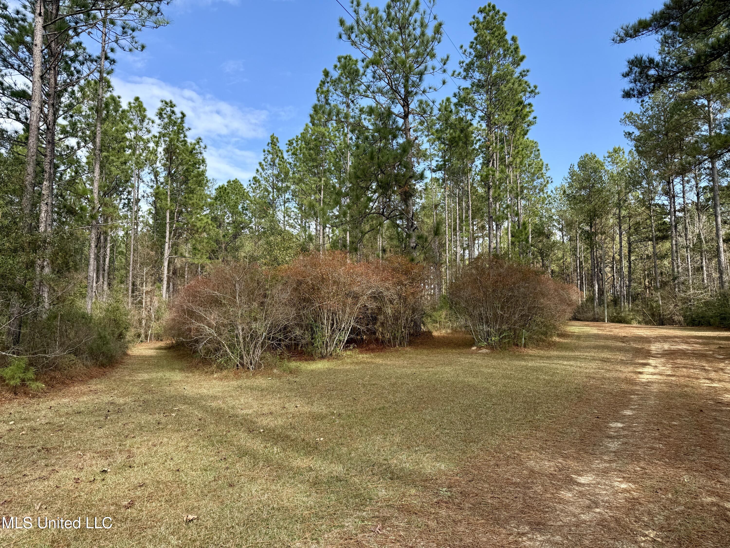 3947 Purvis Columbia Road Purvis, MS 39475 - Photo 20 of 44 IMG_9253