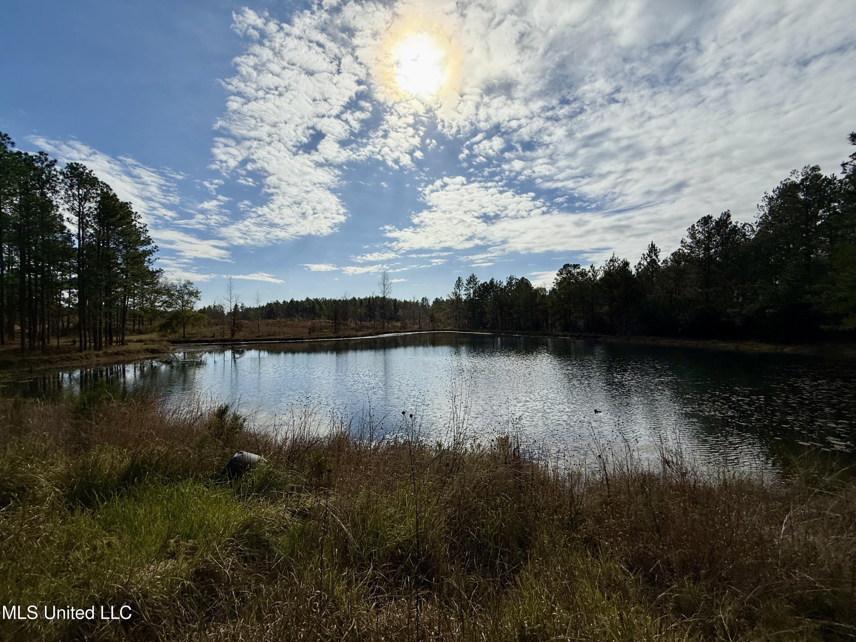 3947 Purvis Columbia Road Purvis, MS 39475 - Photo 21 of 44 IMG_9252