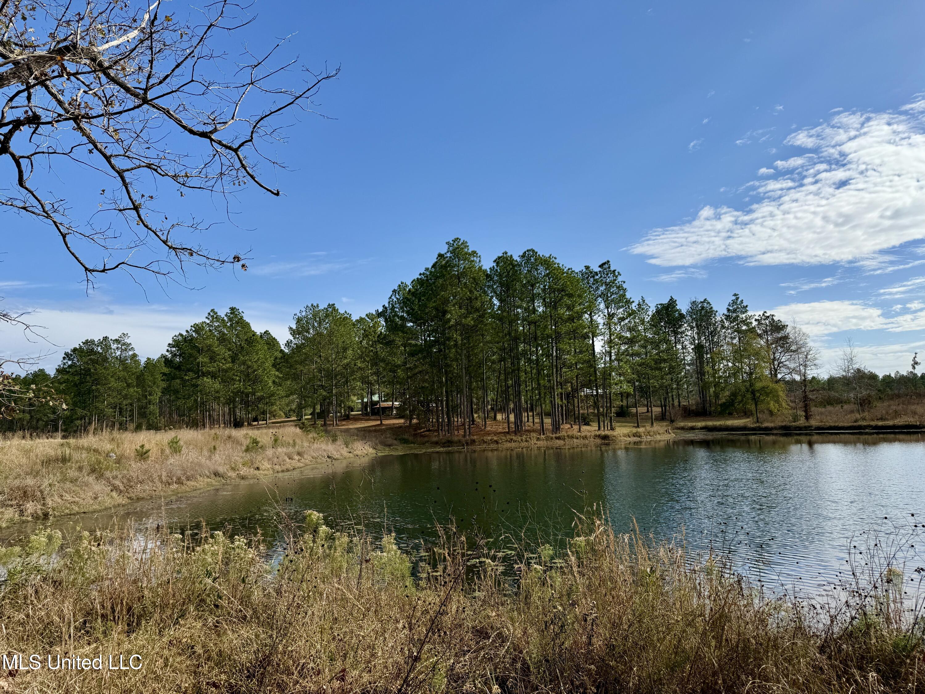 3947 Purvis Columbia Road Purvis, MS 39475 - Photo 22 of 44 IMG_9251