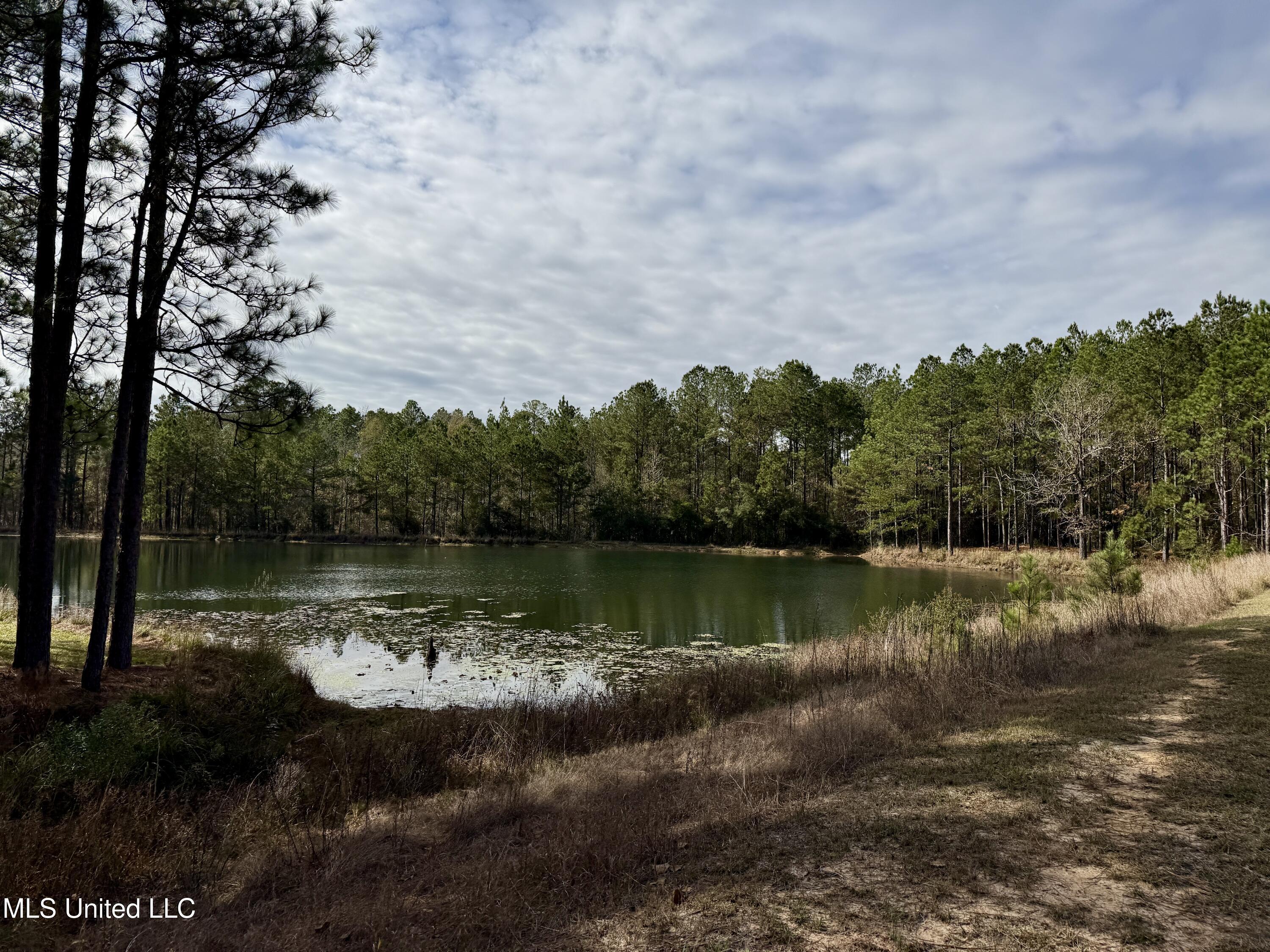 3947 Purvis Columbia Road Purvis, MS 39475 - Photo 23 of 44 IMG_9250