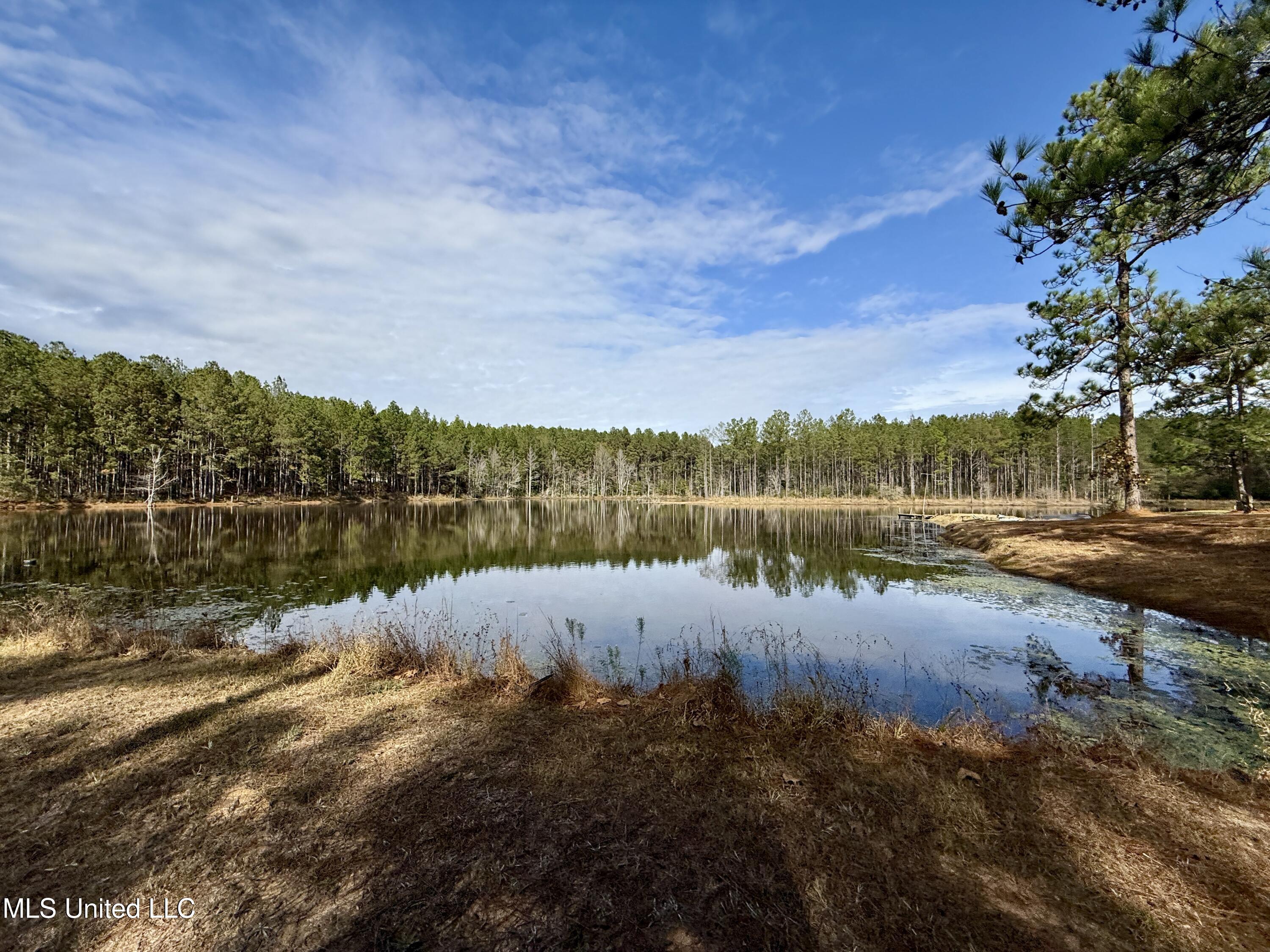 3947 Purvis Columbia Road Purvis, MS 39475 - Photo 24 of 44 IMG_9249