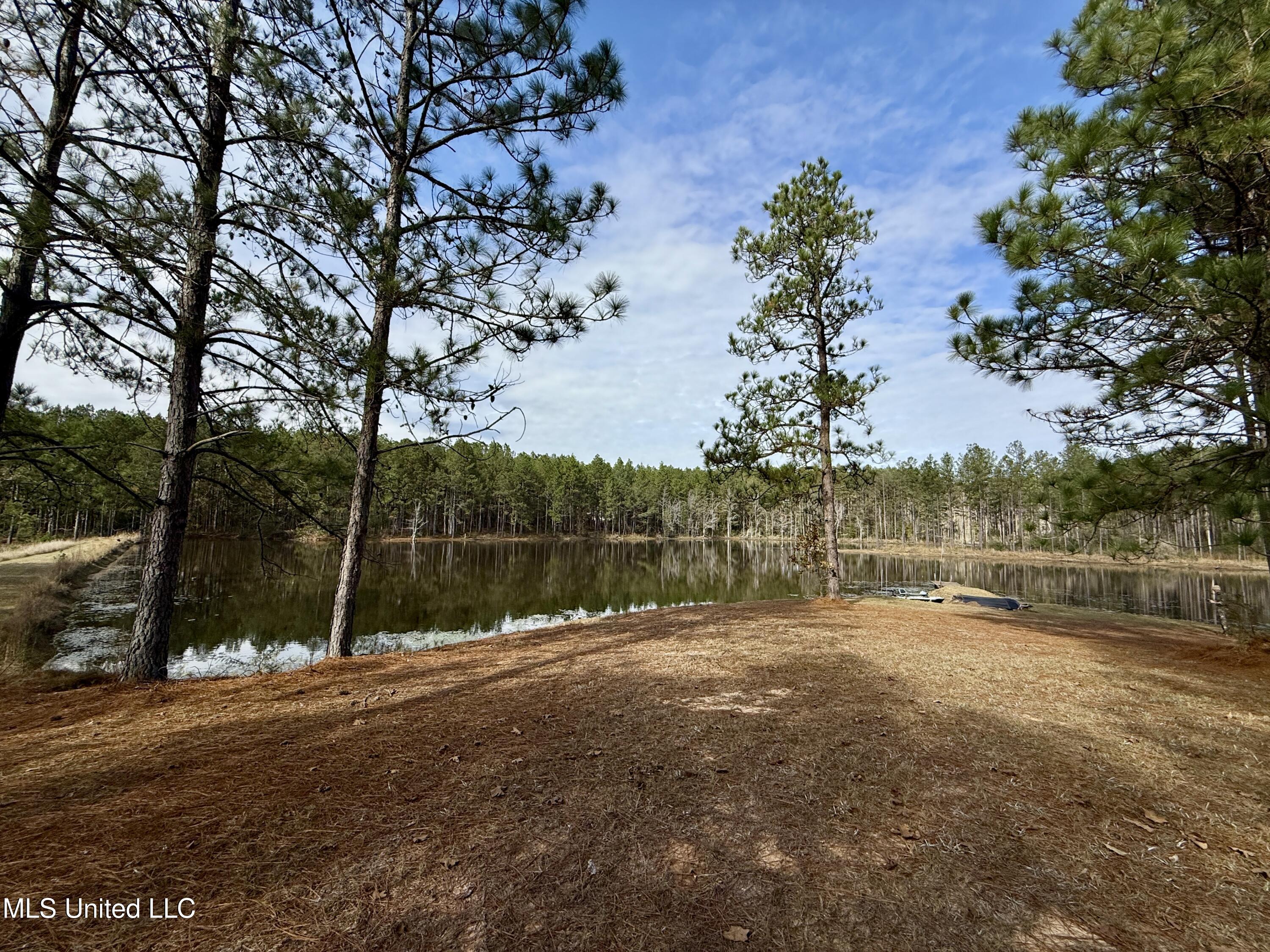 3947 Purvis Columbia Road Purvis, MS 39475 - Photo 25 of 44 IMG_9248